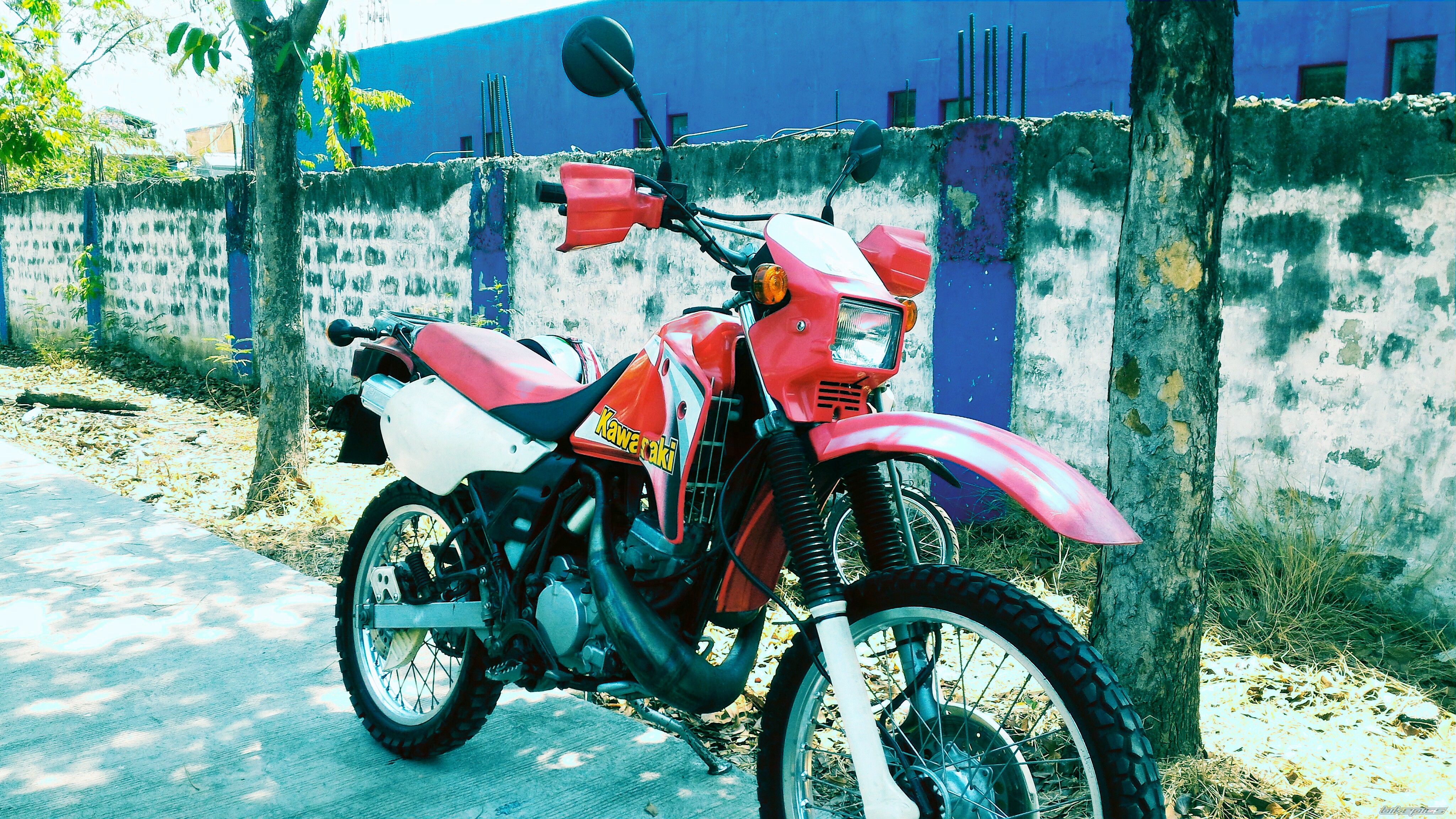 2015 KAWASAKI KMX 125 | Picture 2786025 motorcycle photo