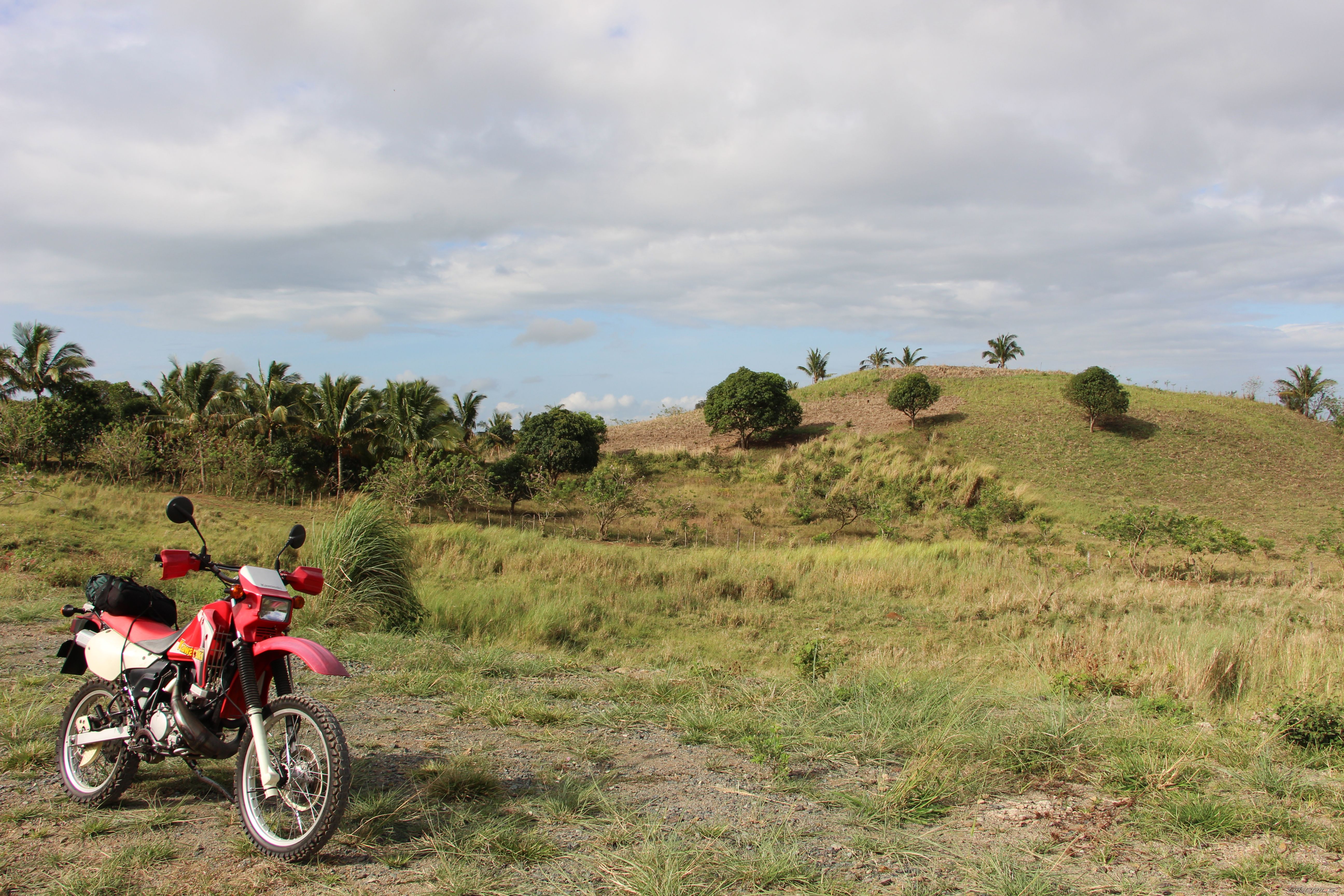 2015 KAWASAKI KMX 125 | Picture 2787208 motorcycle photo