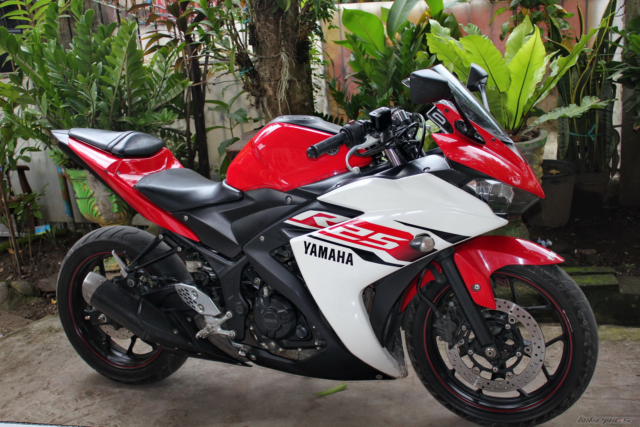2015 YAMAHA YZF R25 | Picture 2788842 motorcycle photo
