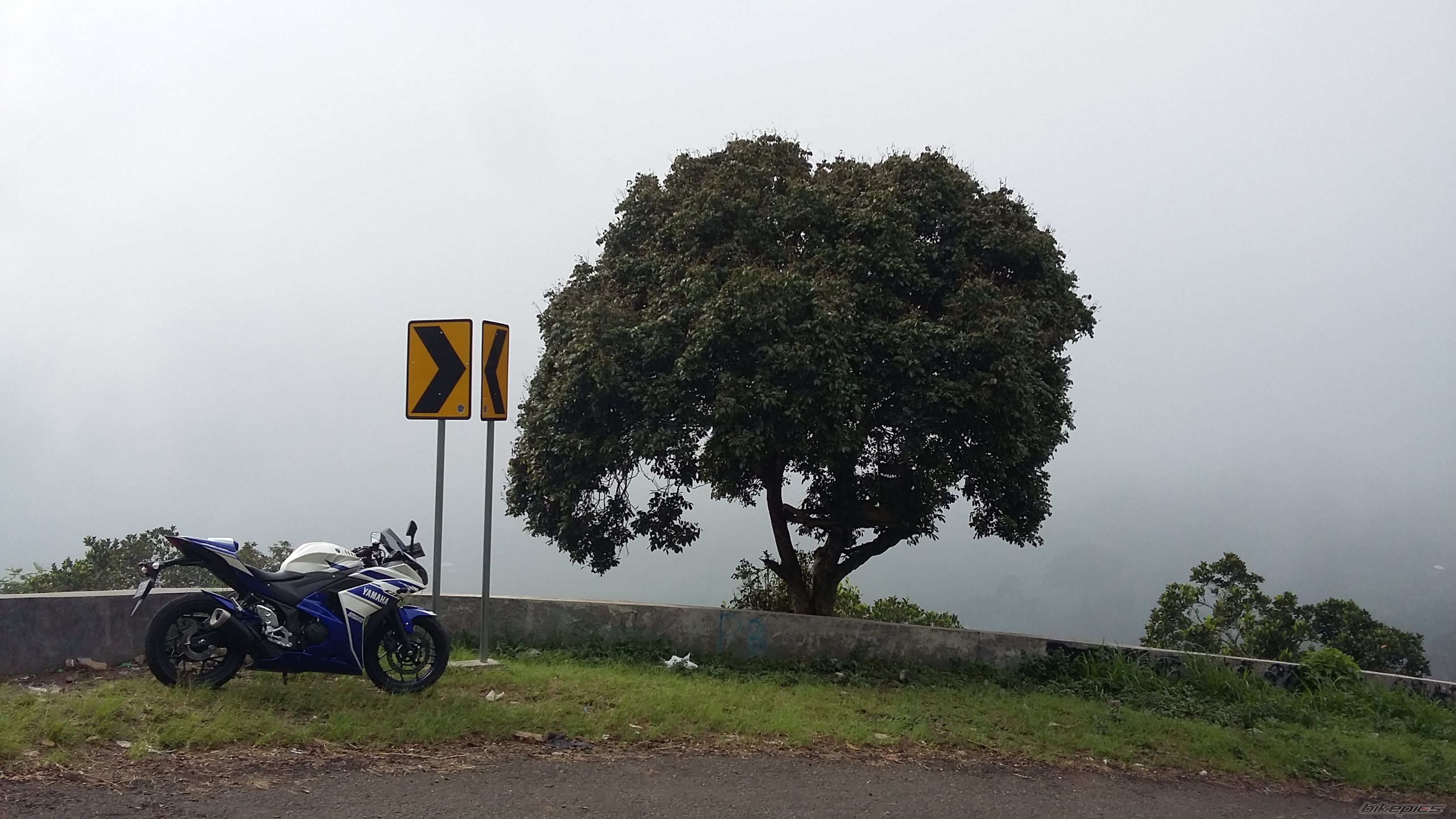 2014 YAMAHA YZF R25 | Picture 2788853 motorcycle photo