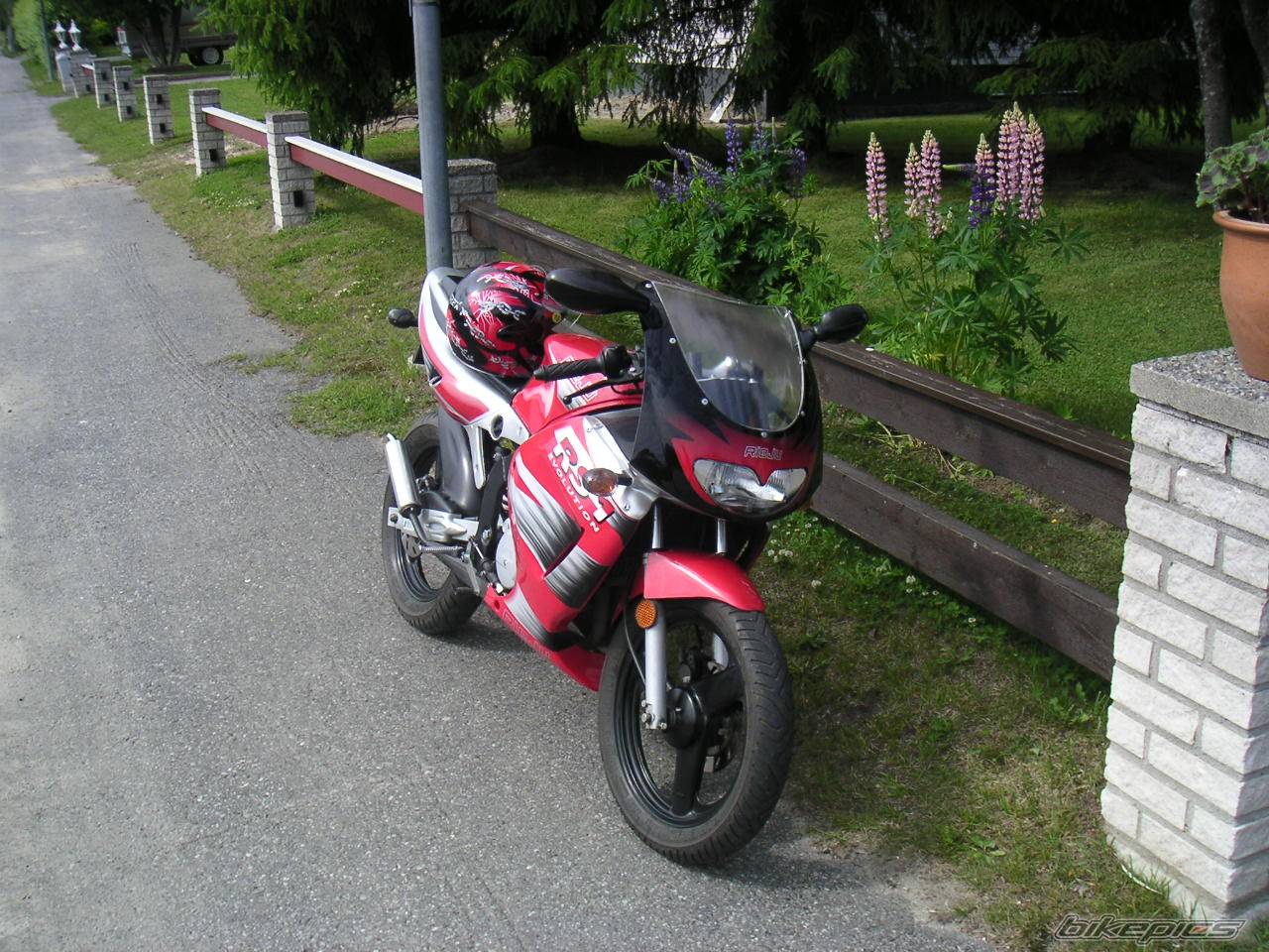 1999 RIEJU RS1 | Picture 278912 motorcycle photo