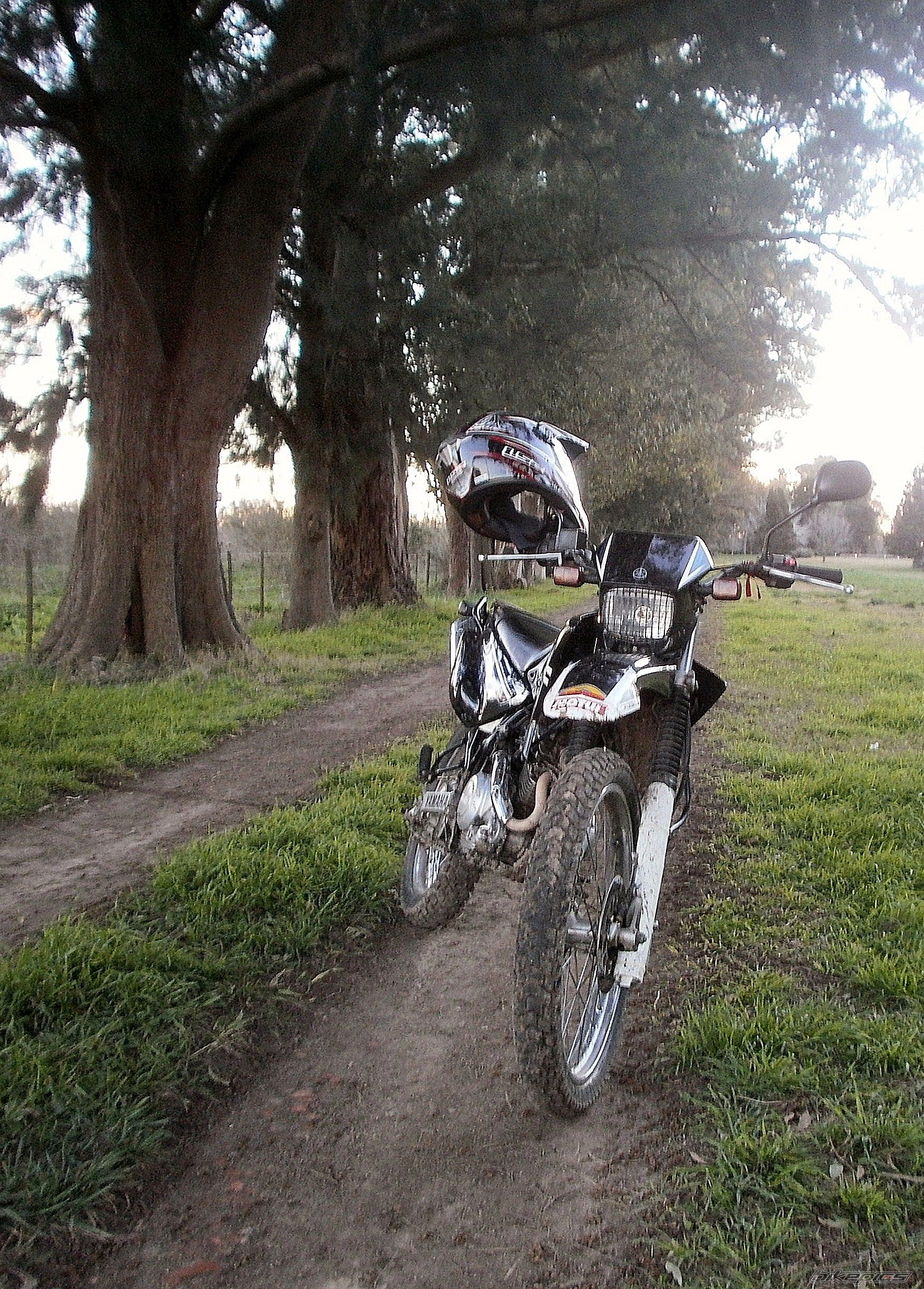 2008 YAMAHA XTZ 125 | Picture 2789403 motorcycle photo