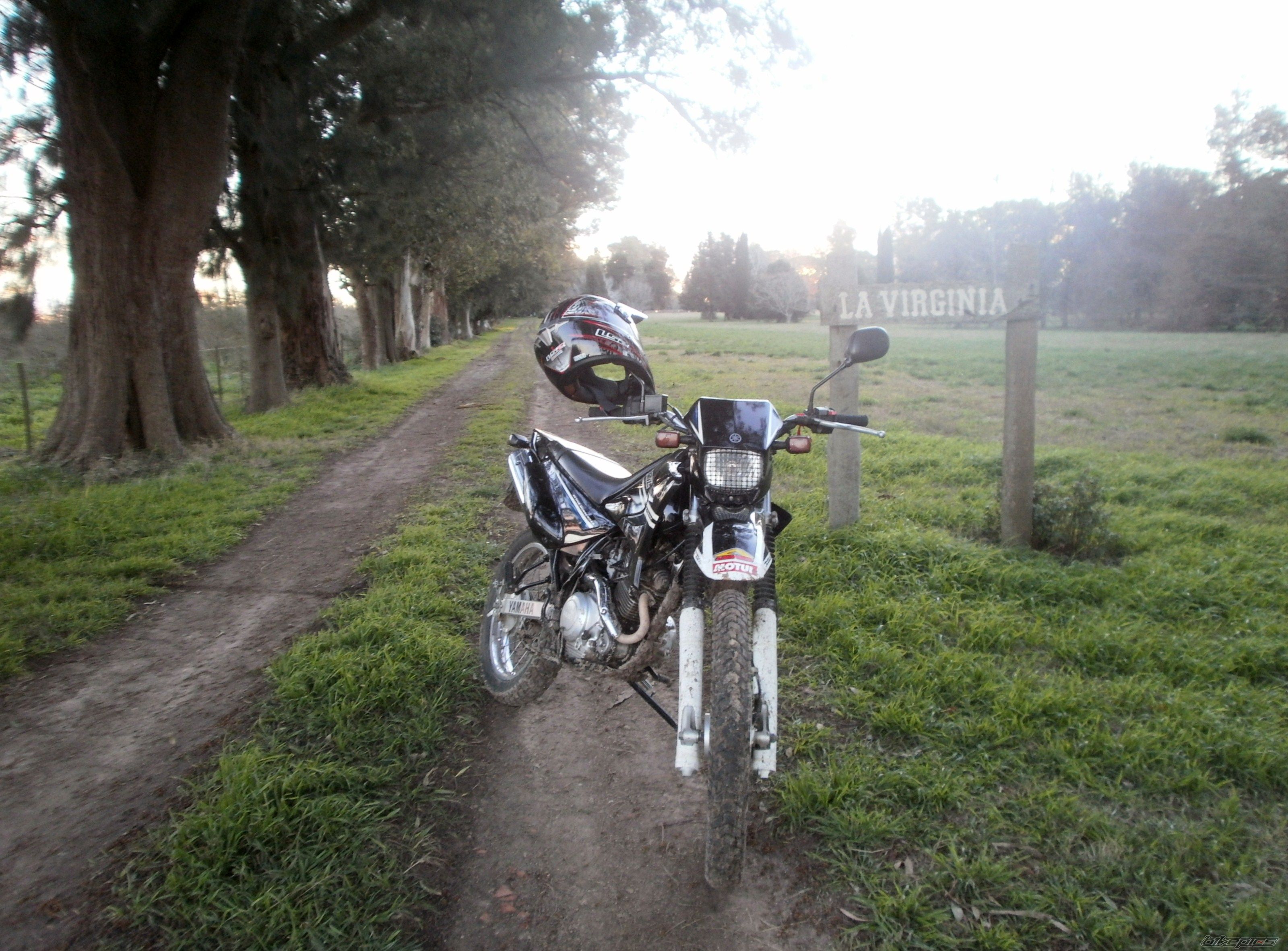 2008 YAMAHA XTZ 125 | Picture 2789404 motorcycle photo