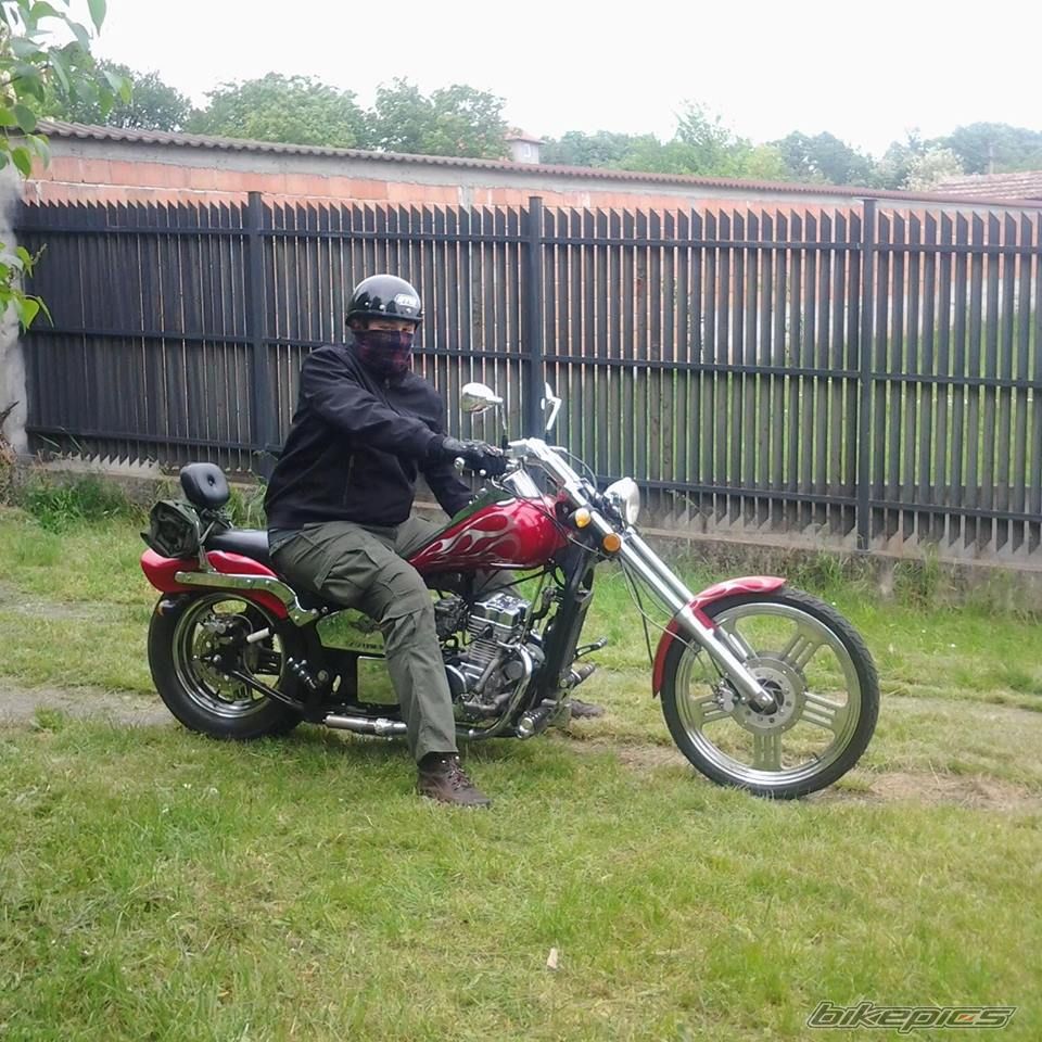 1981 TOMOS 14 M | Picture 2789974 motorcycle photo