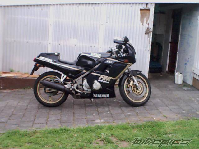 1988 YAMAHA FZR 250 | Picture 279 motorcycle photo