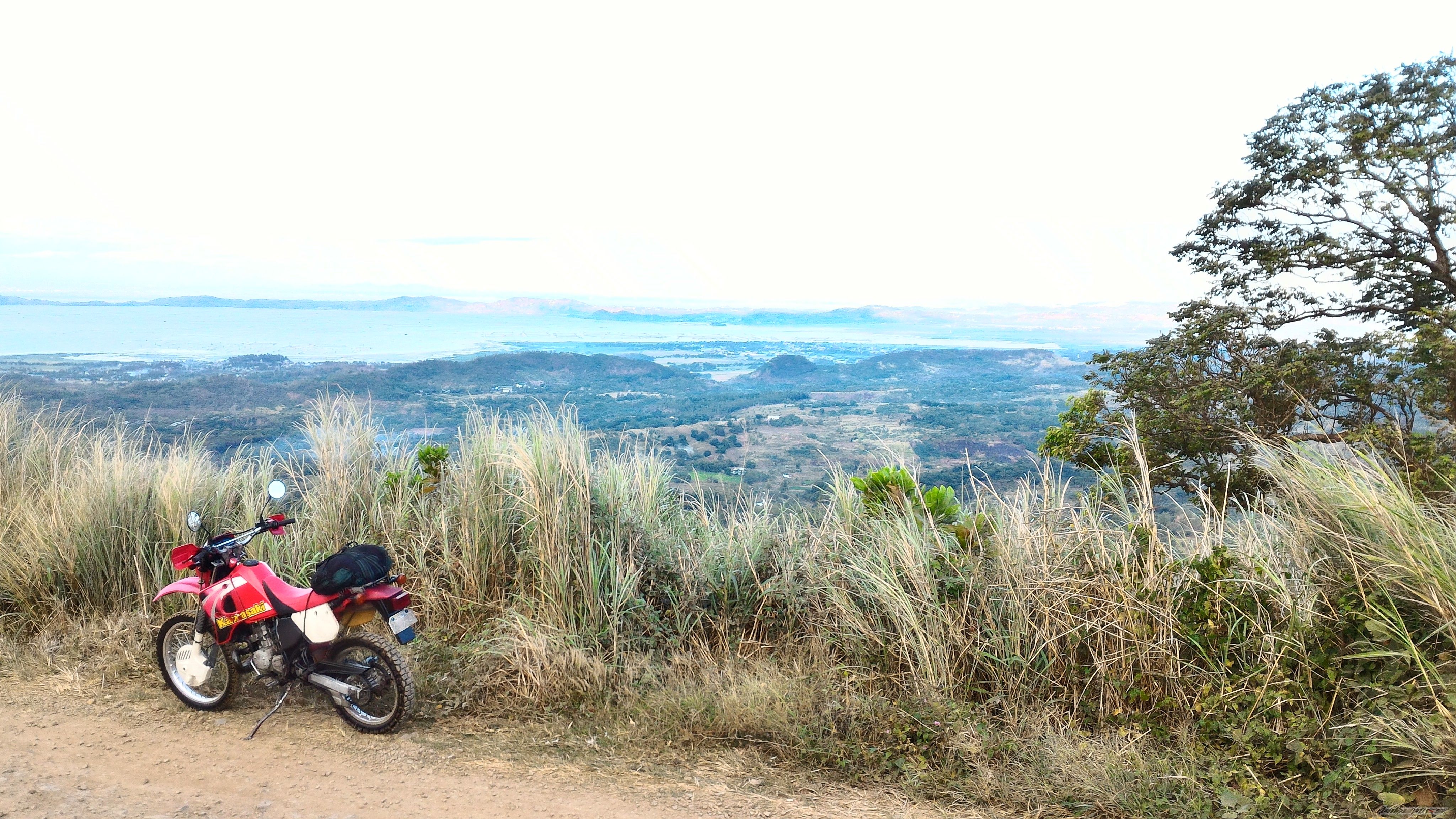 2014 KAWASAKI KMX 125 | Picture 2790467 motorcycle photo