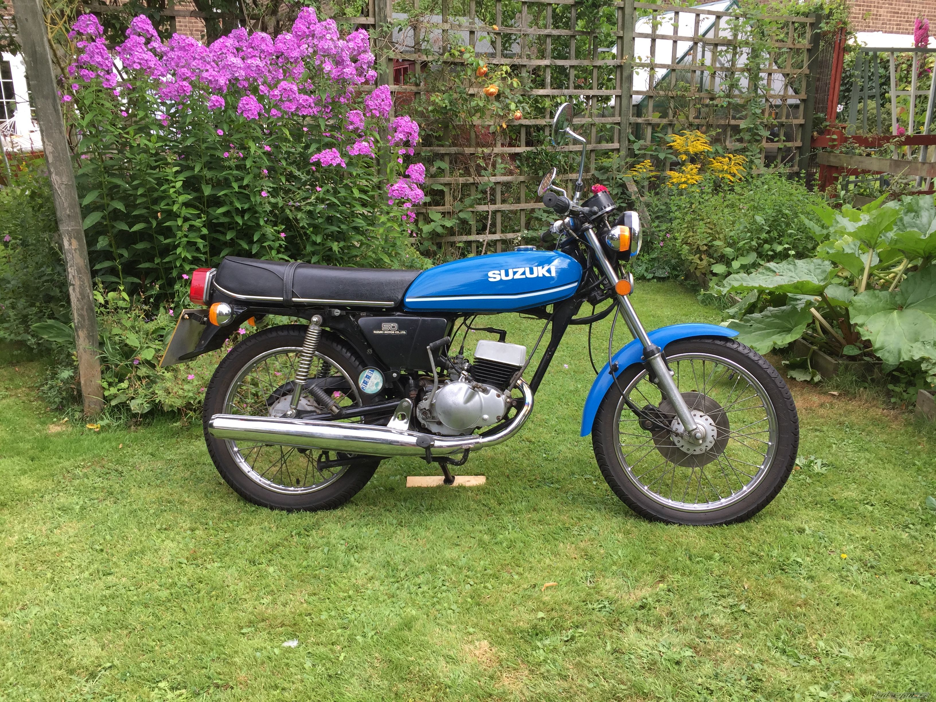 1979 SUZUKI GT 50 | Picture 2790686 motorcycle photo