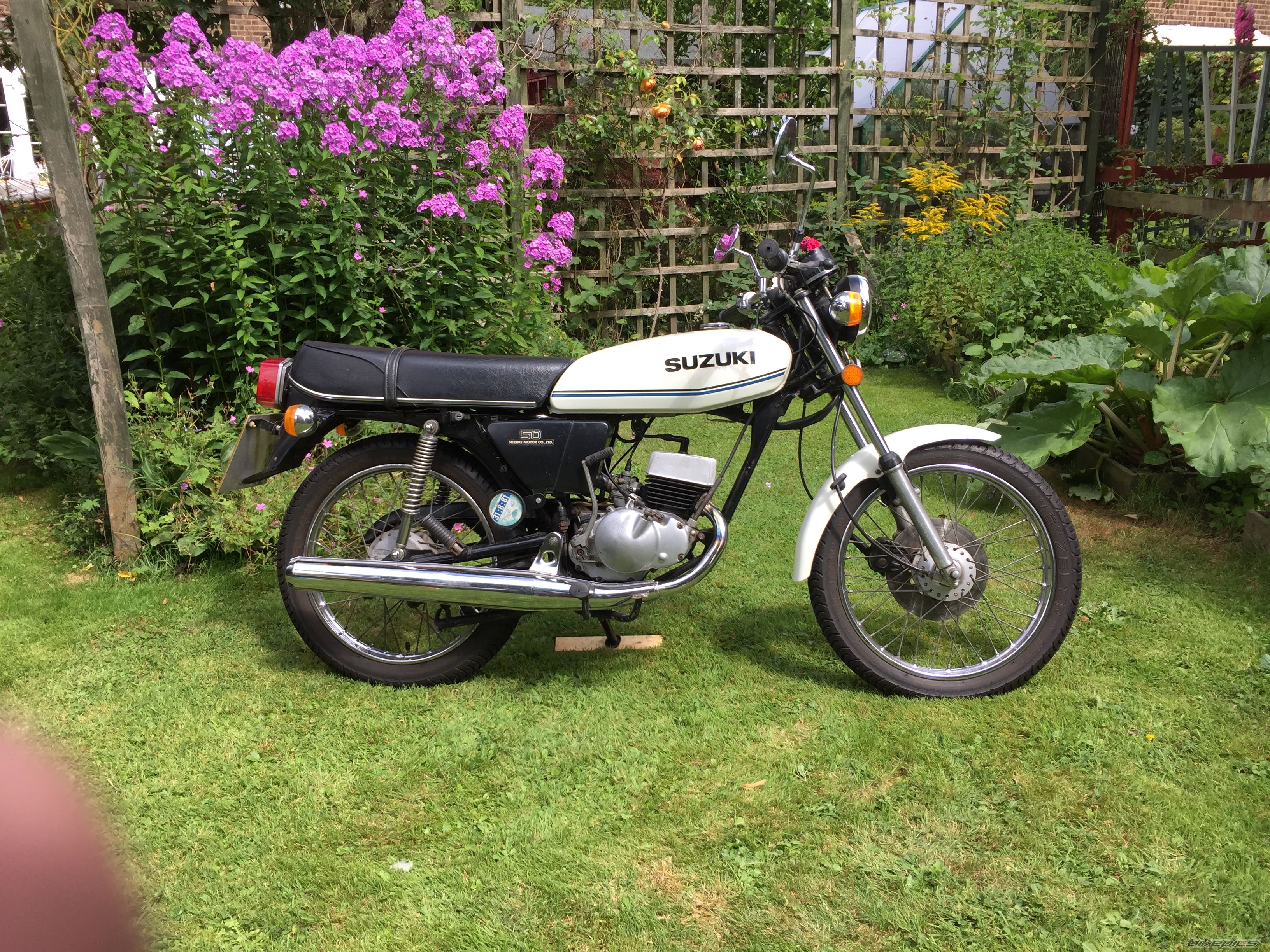 1979 SUZUKI GT 50 | Picture 2790704 motorcycle photo