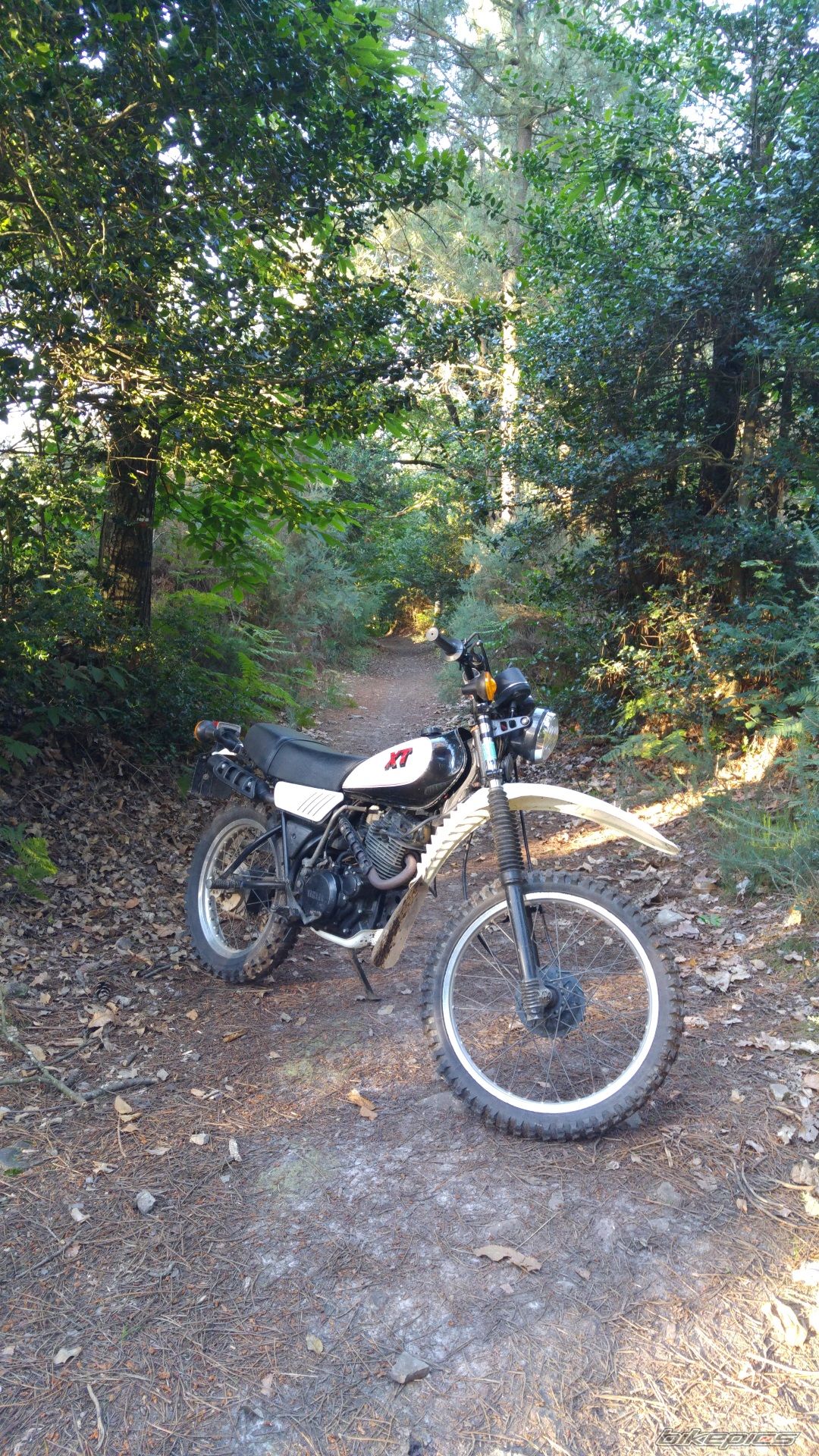 1983 YAMAHA XT 250 | Picture 2790729 motorcycle photo