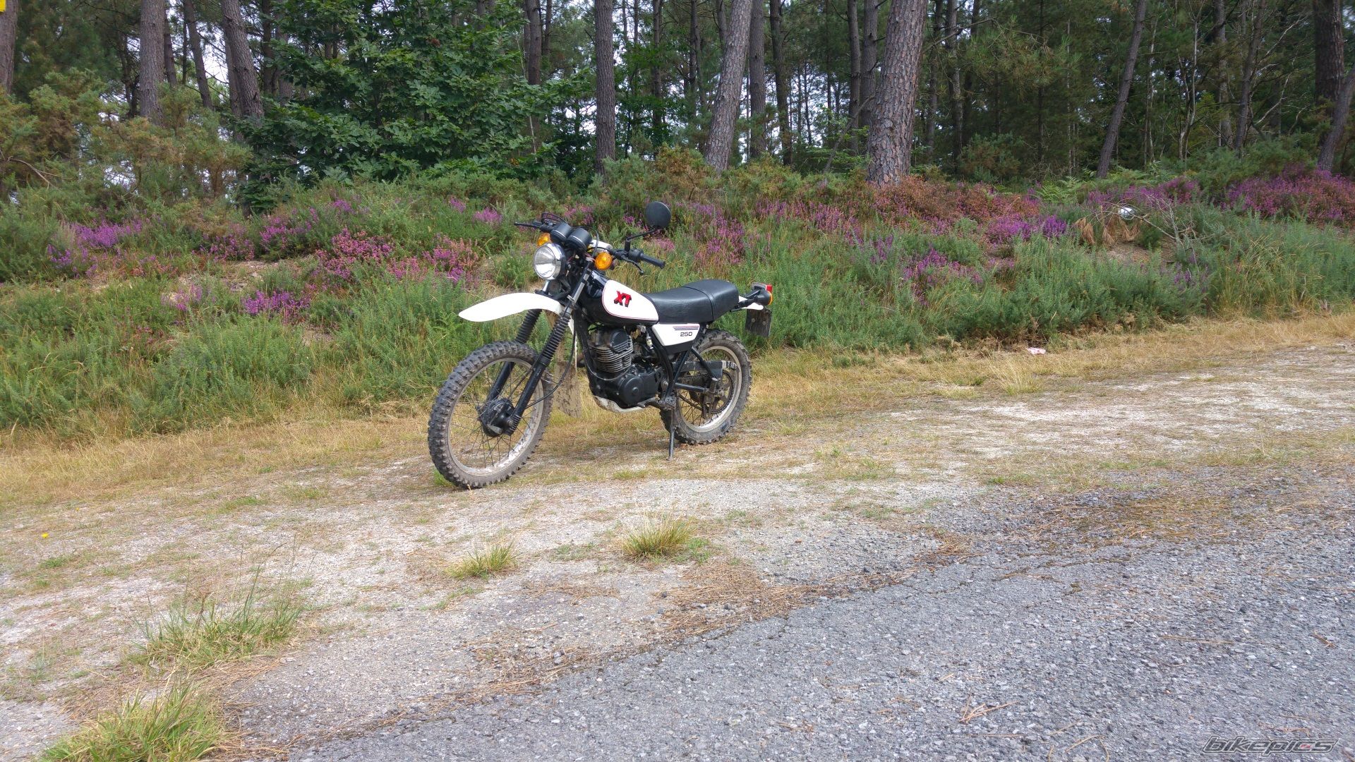 1983 YAMAHA XT 250 | Picture 2790731 motorcycle photo