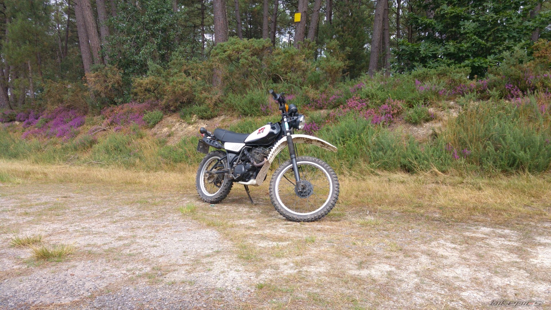 1983 YAMAHA XT 250 | Picture 2790732 motorcycle photo