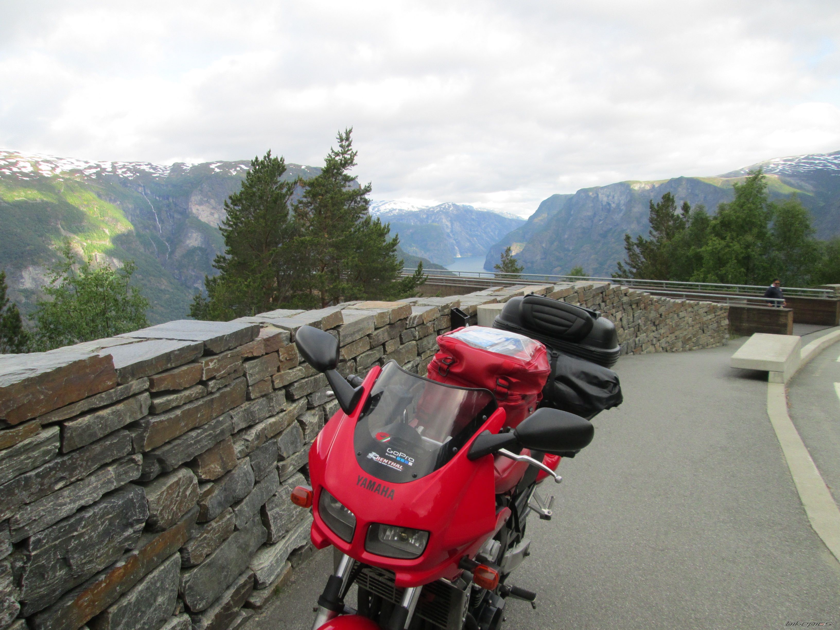 1994 YAMAHA FZS 600 FAZER | Picture 2791408 motorcycle photo