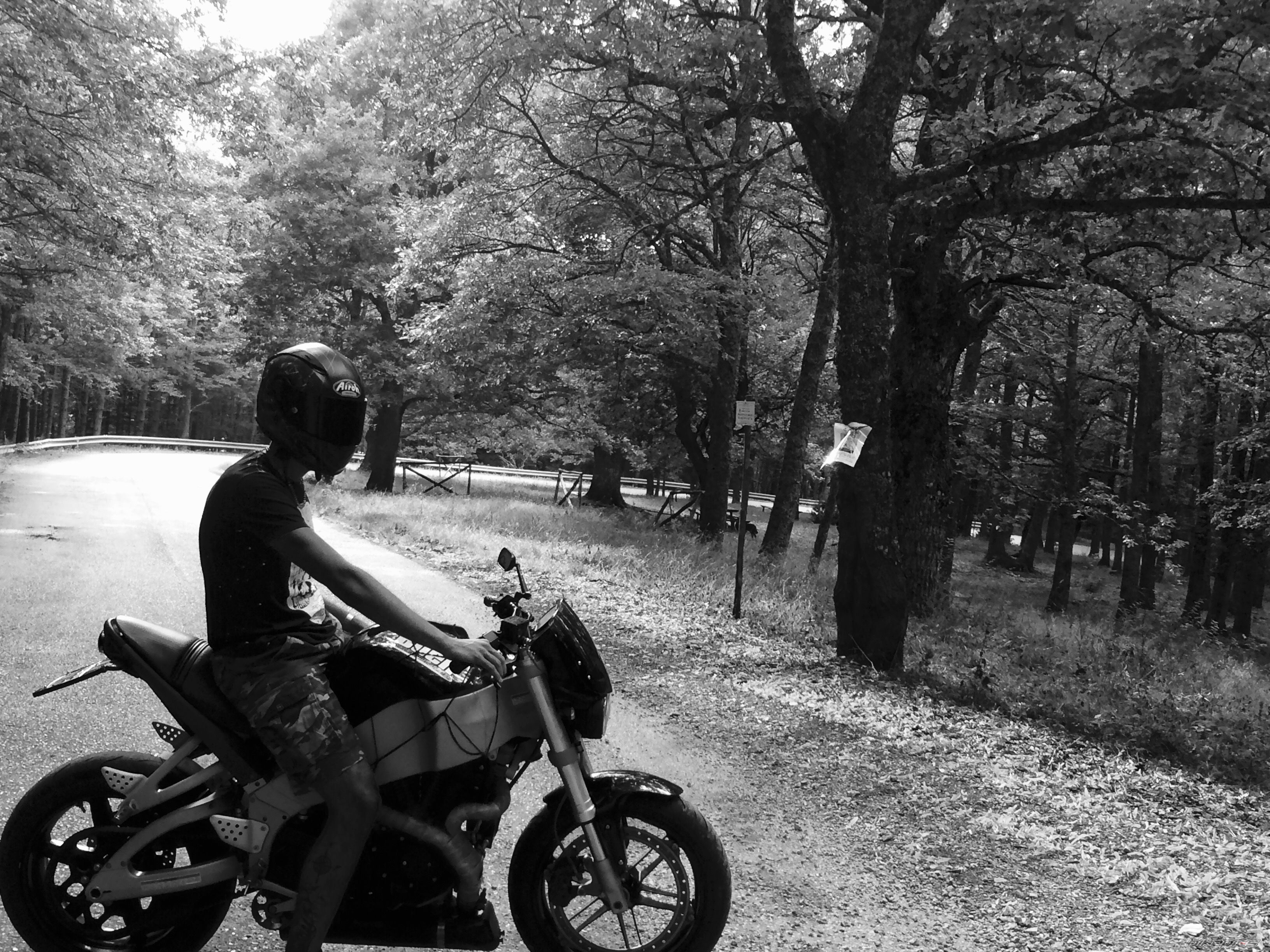 2006 BUELL XB9S LIGHTNING | Picture 2791554 motorcycle photo
