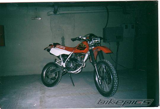 1996 HONDA XR 250 | Picture 279195 motorcycle photo