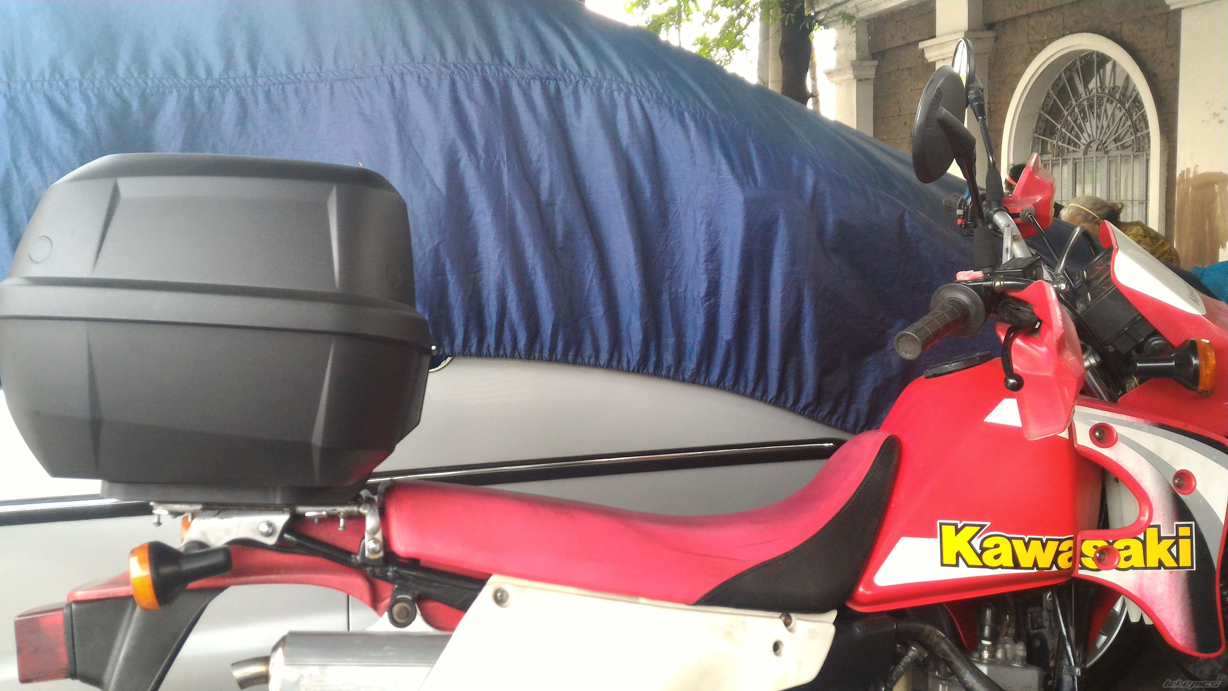 2015 KAWASAKI KMX 125 | Picture 2791996 motorcycle photo