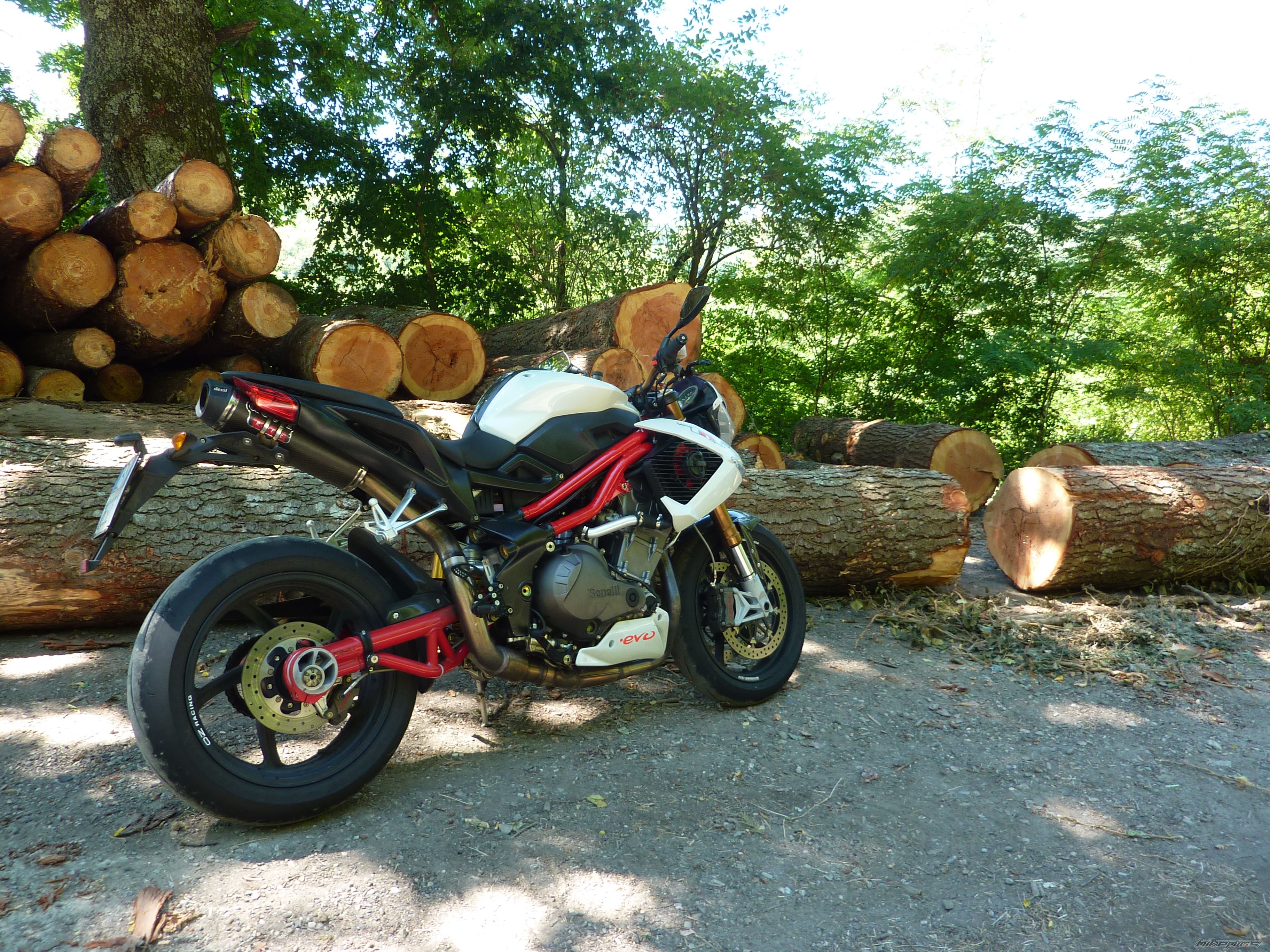2008 BENELLI TNT SPORT EVO | Picture 2792765 motorcycle photo