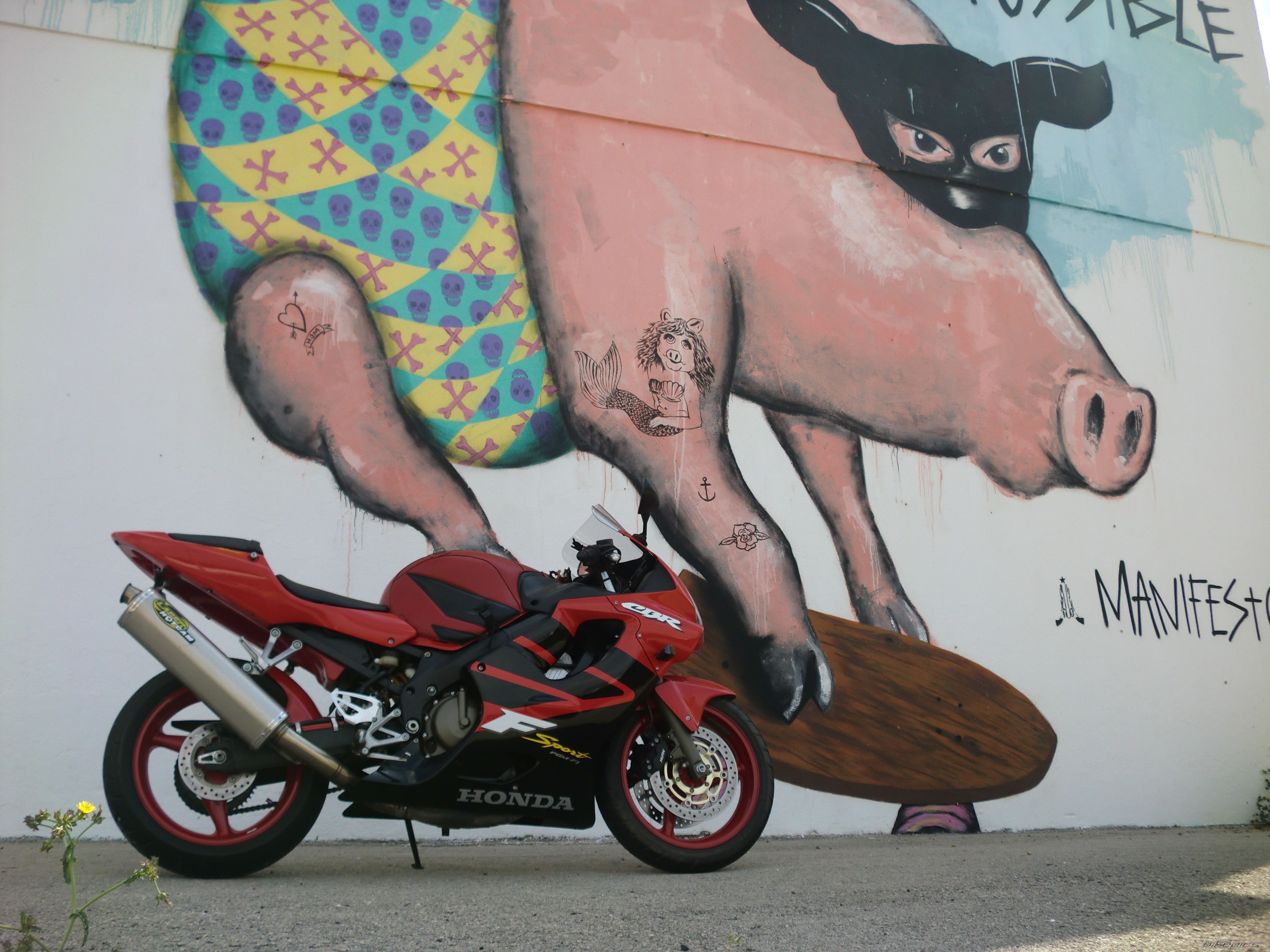 2009 HONDA CBR 600 FS | Picture 2792842 motorcycle photo