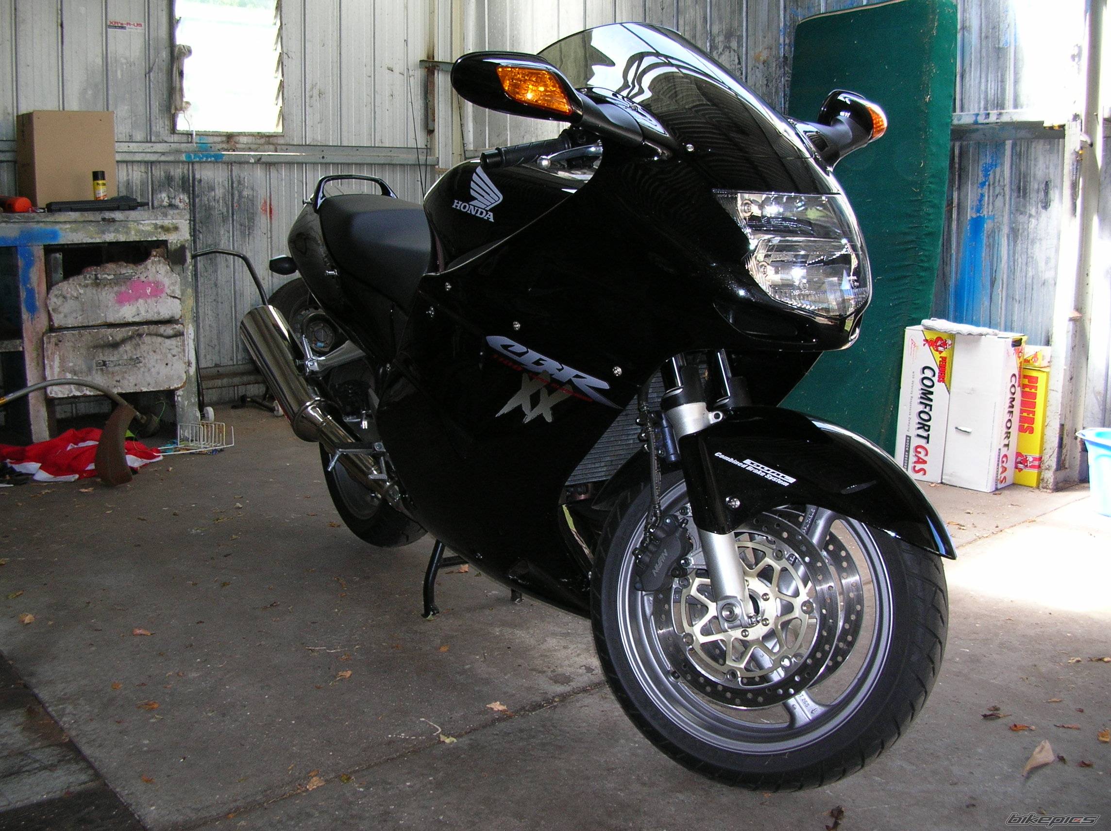 2004 HONDA CBR 1100 BLACKBIRD | Picture 279321 motorcycle photo