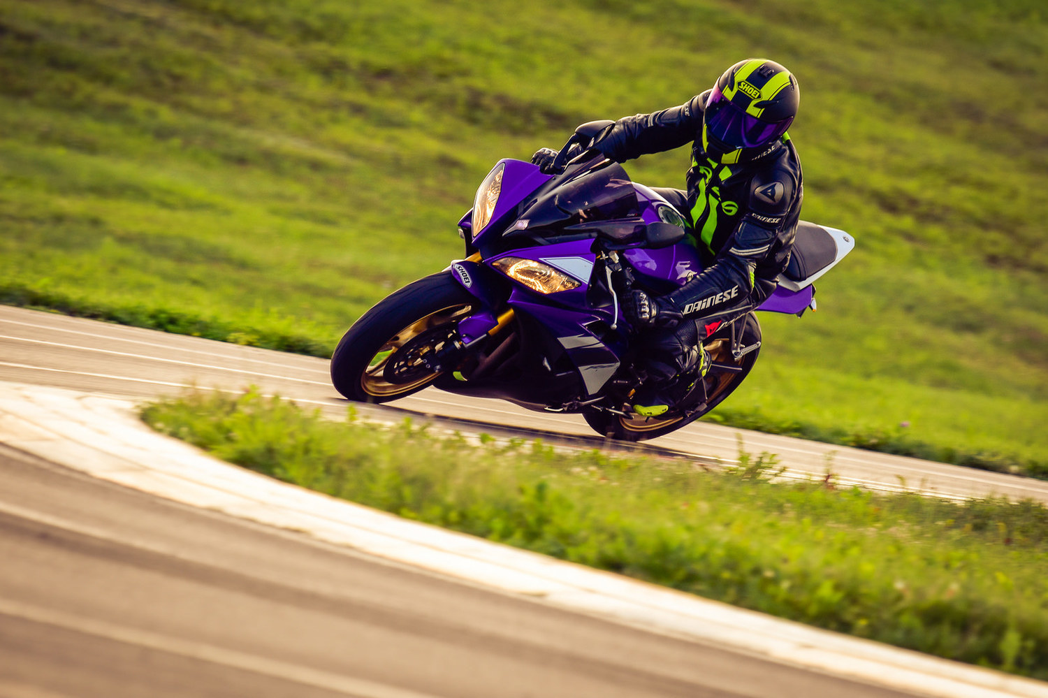2008 YAMAHA YZF R6 | Picture 2793832 motorcycle photo