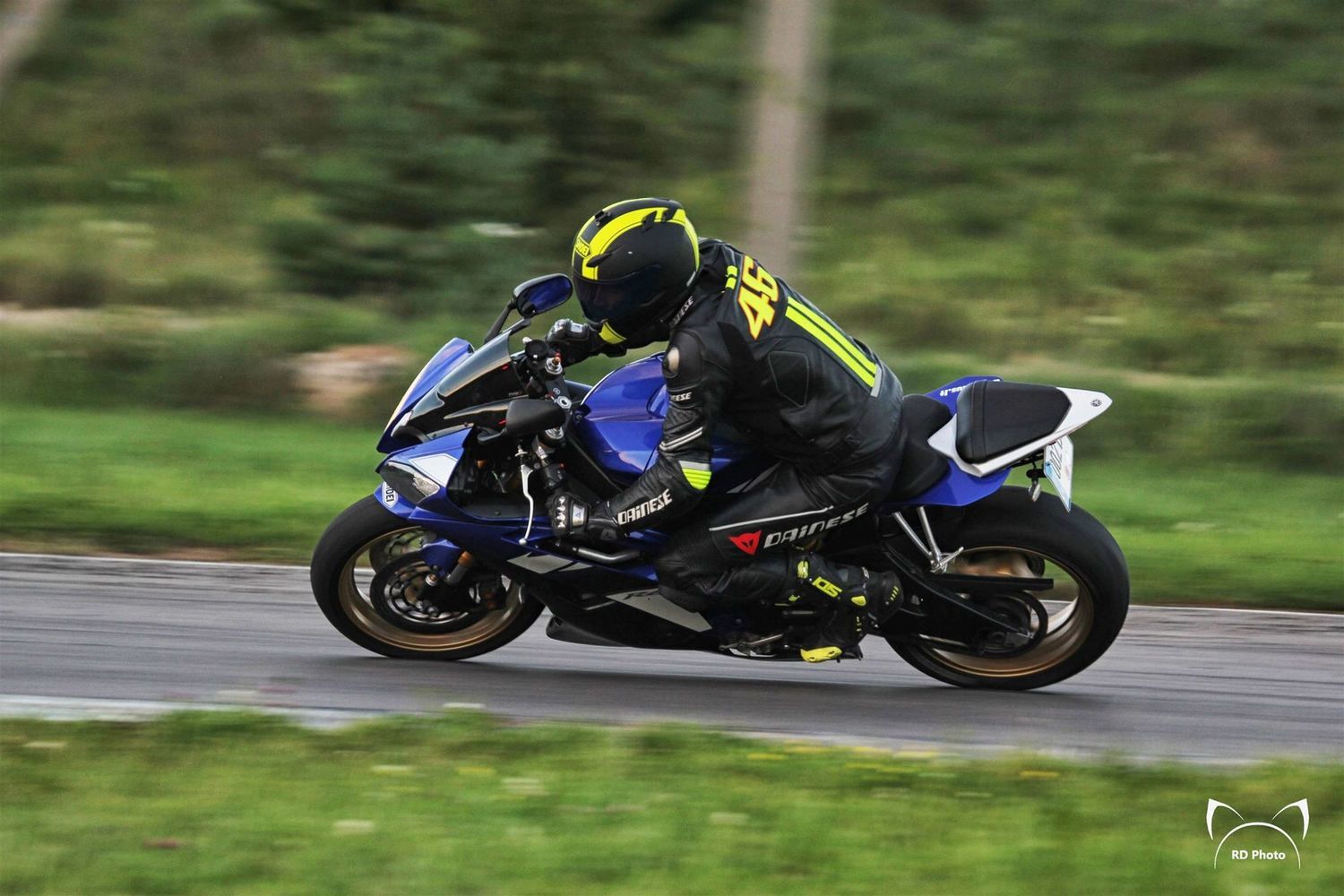 2008 YAMAHA YZF R6 | Picture 2793904 motorcycle photo