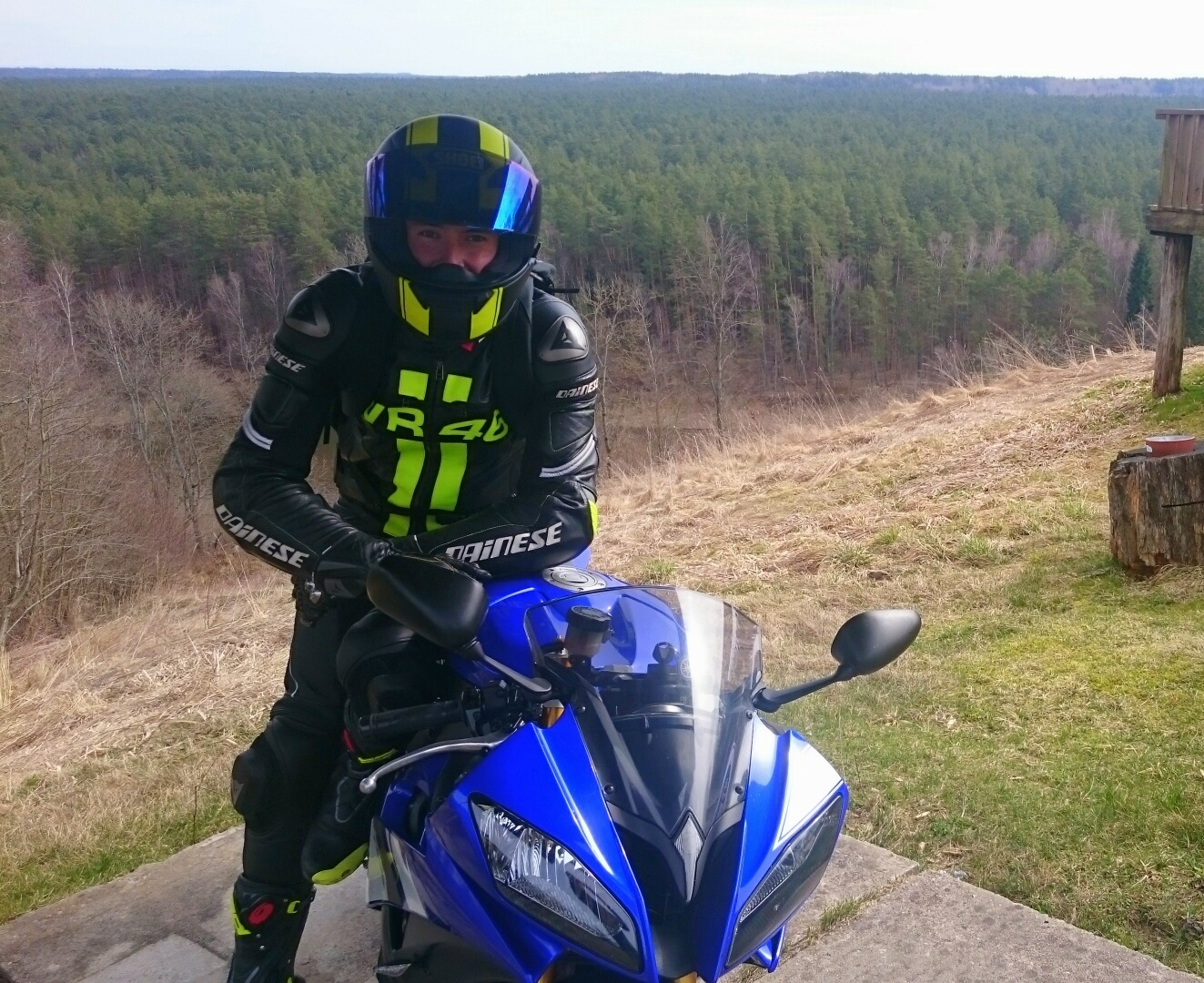 2008 YAMAHA YZF R6 | Picture 2793909 motorcycle photo
