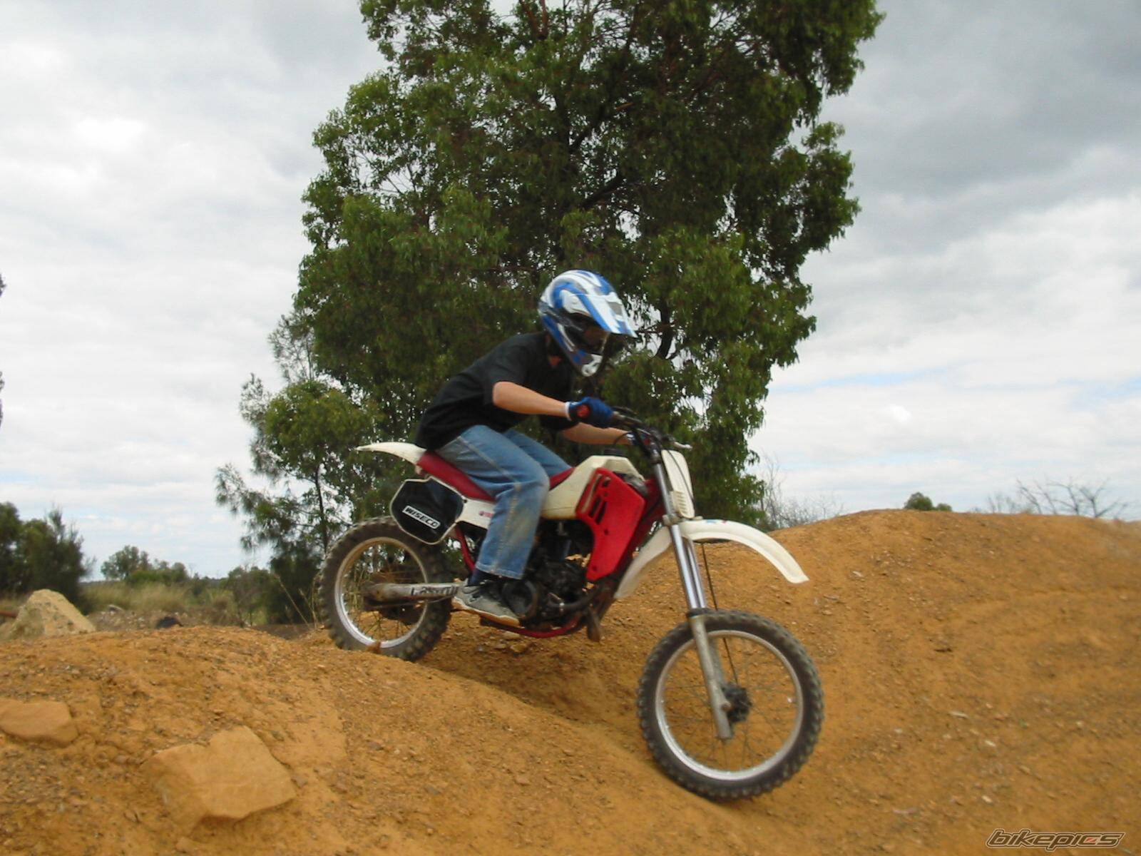 1984 YAMAHA YZ 80 | Picture 279417 motorcycle photo