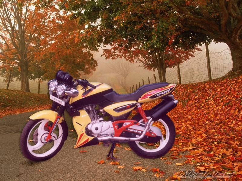 2004 BAJAJ PULSAR 150 | Picture 279488 motorcycle photo