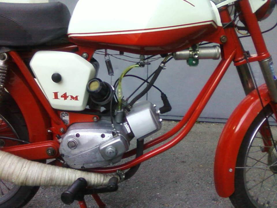 1981 TOMOS 14 M | Picture 2795116 motorcycle photo