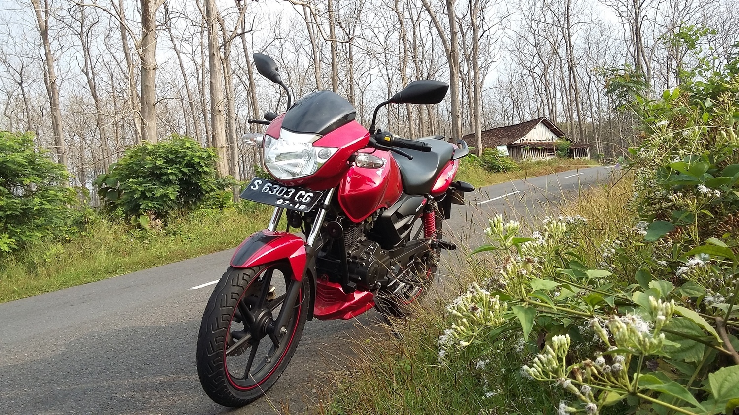 2008 TVS APACHE RTR 180 | Picture 2795216 motorcycle photo