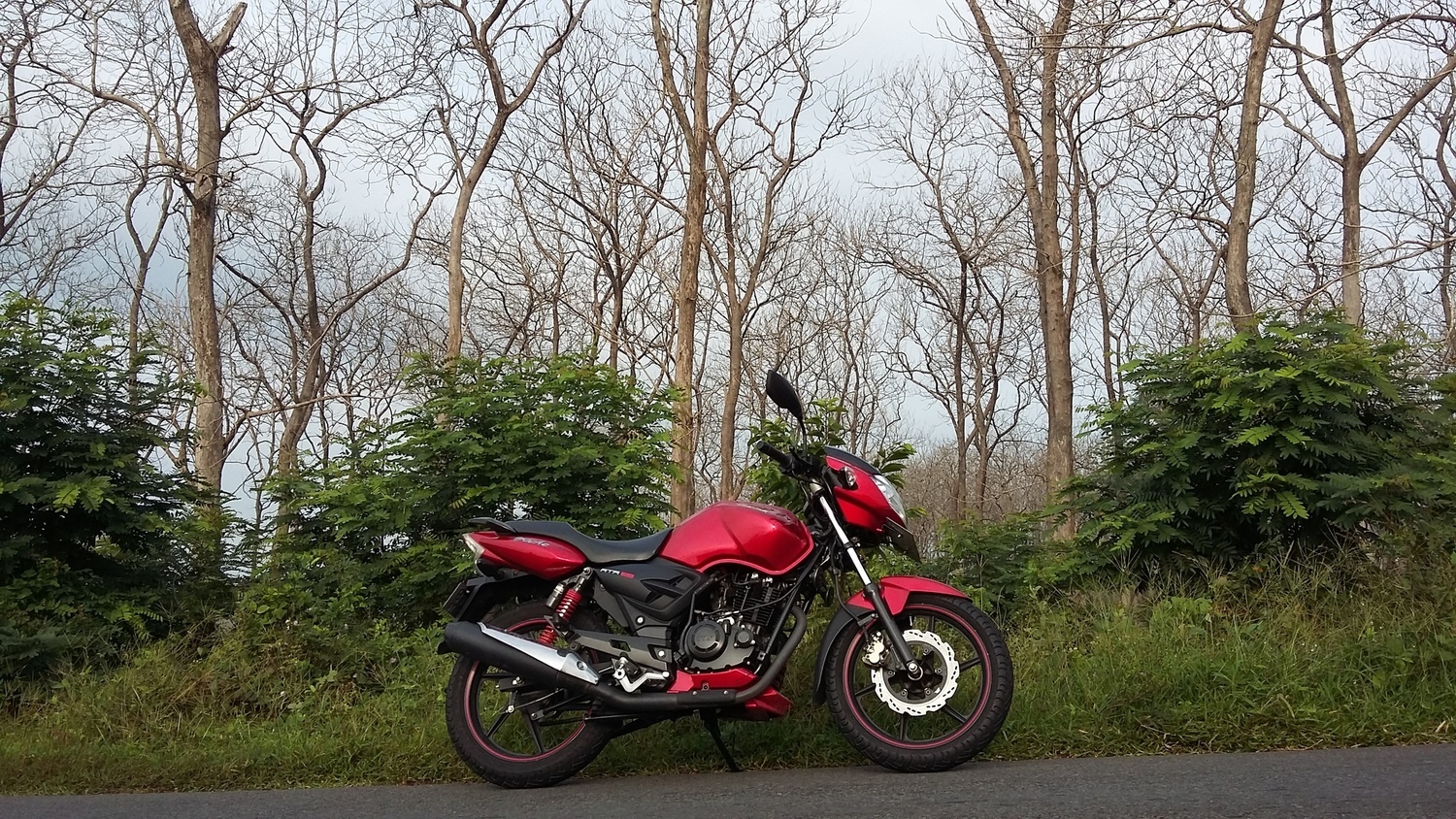 2008 TVS APACHE RTR 180 | Picture 2795219 motorcycle photo