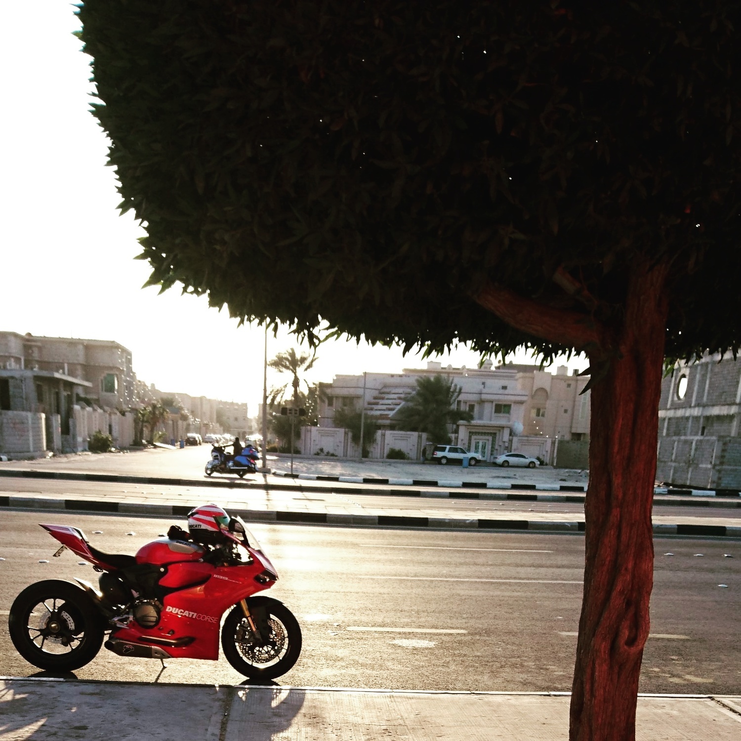 2013 DUCATI PANIGALE R | Picture 2795431 motorcycle photo