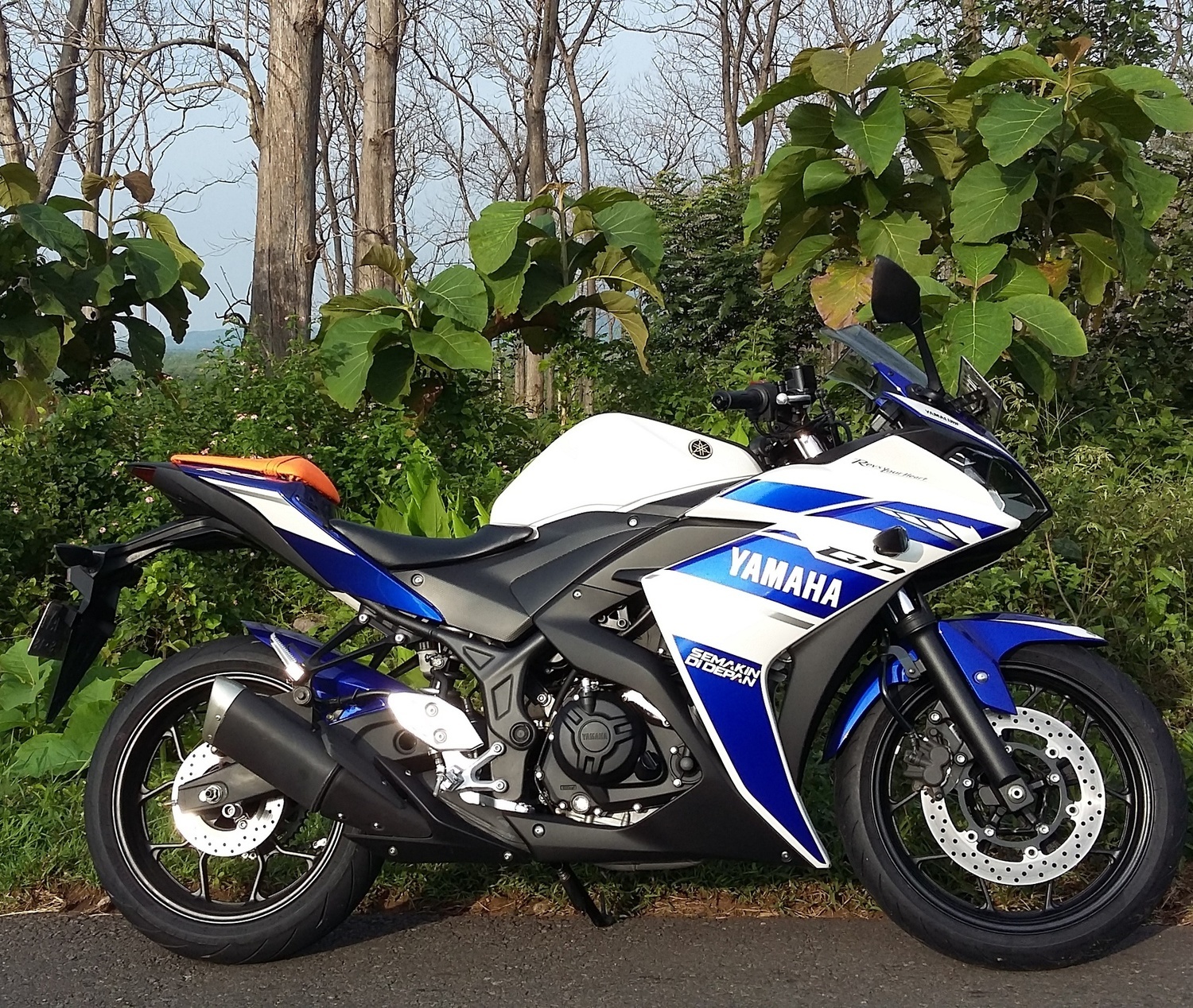 2014 YAMAHA YZF R25 | Picture 2795502 motorcycle photo