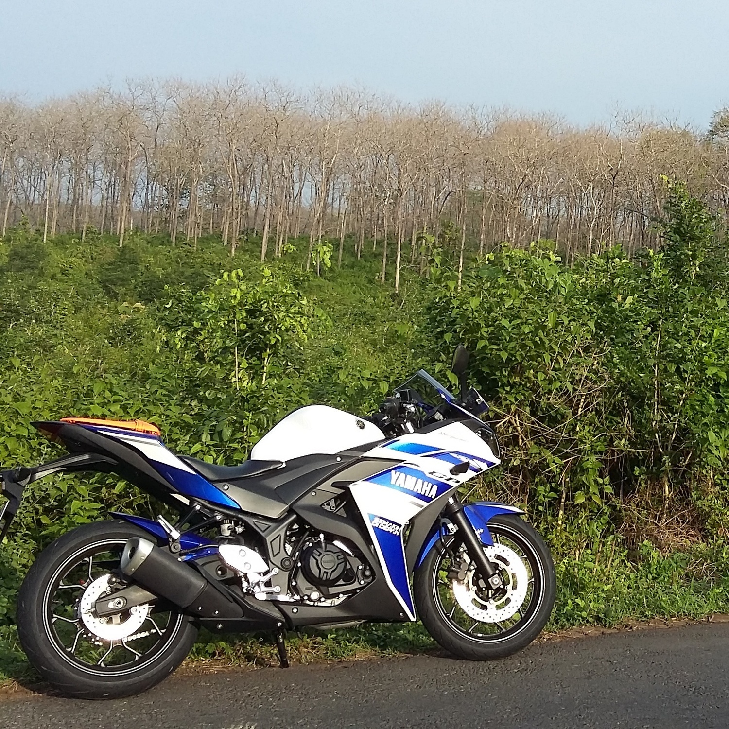 2014 YAMAHA YZF R25 | Picture 2795503 motorcycle photo