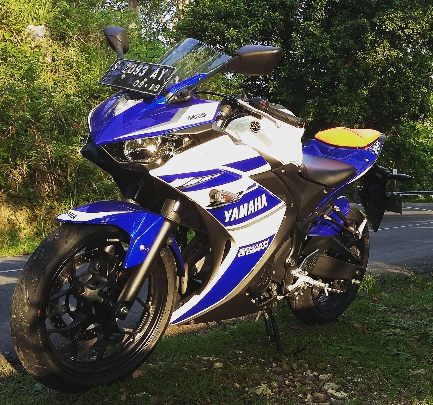 2014 YAMAHA YZF R25 | Picture 2795504 motorcycle photo