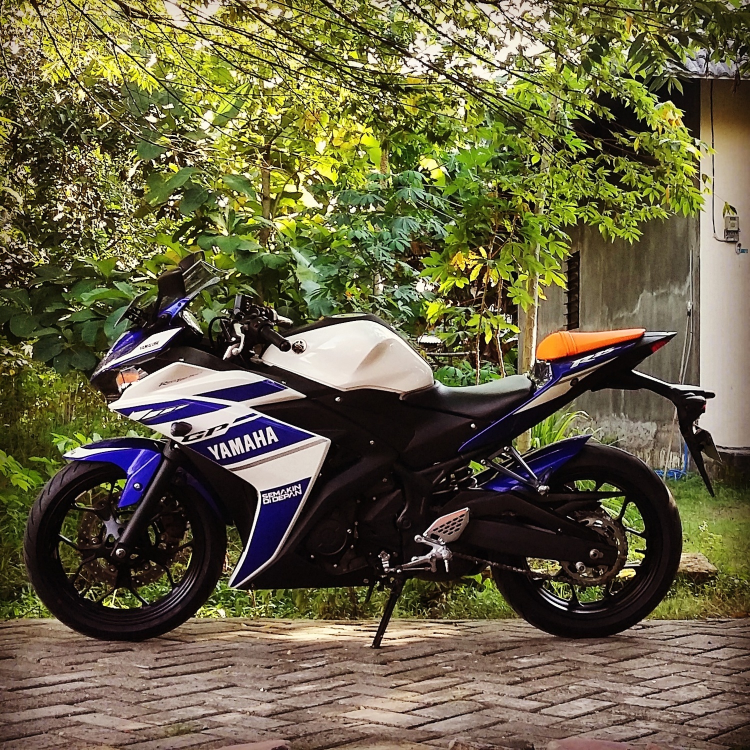 2014 YAMAHA YZF R25 | Picture 2795509 motorcycle photo