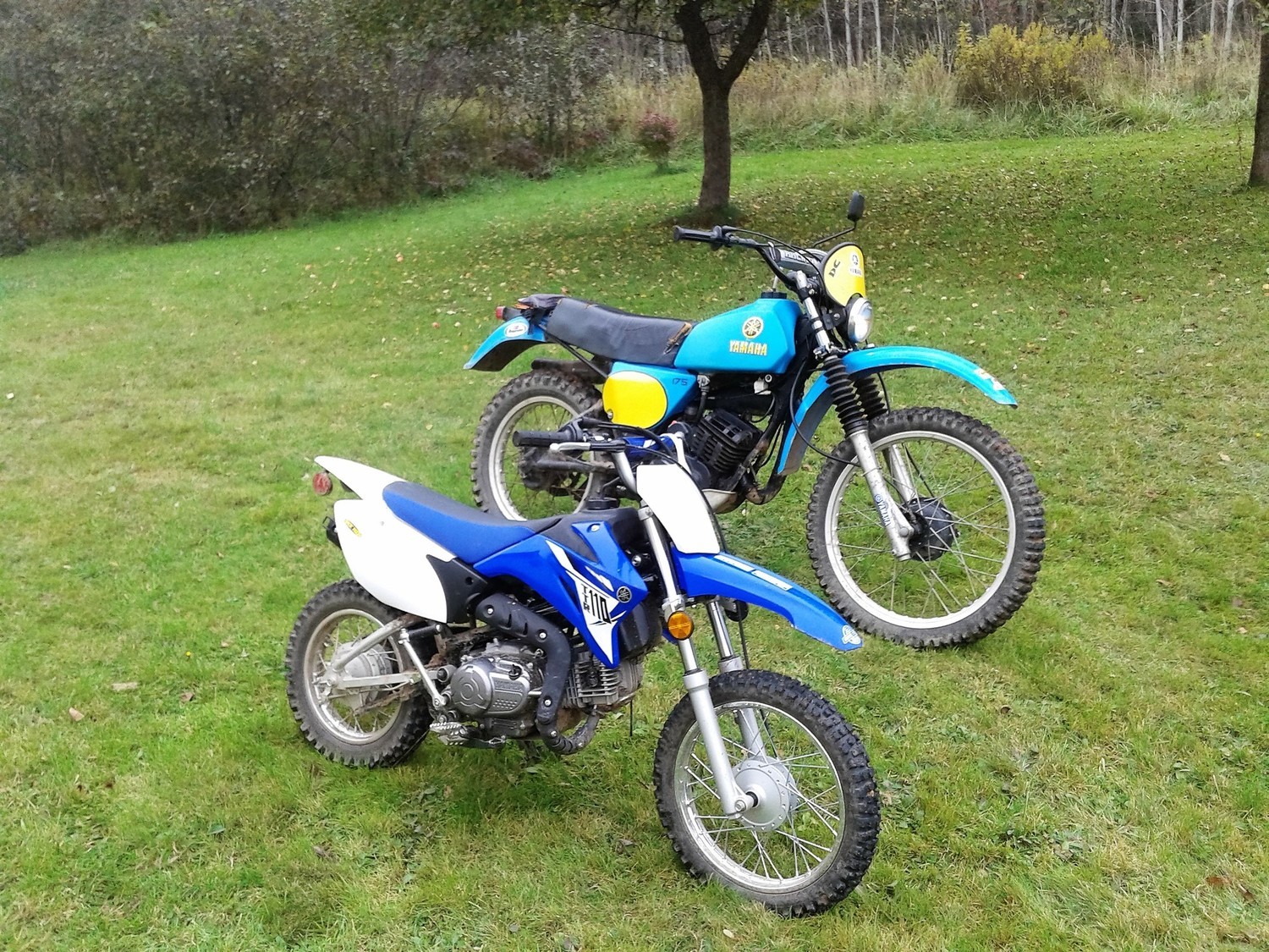 1978 YAMAHA IT 175 | Picture 2795540 motorcycle photo