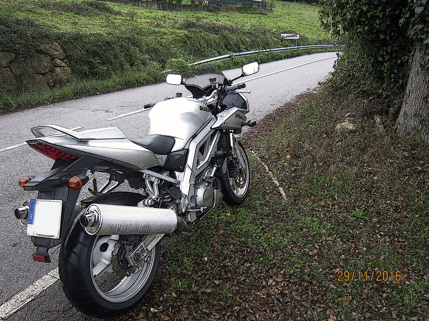 2004 SUZUKI SV1000S | Picture 2795693 motorcycle photo
