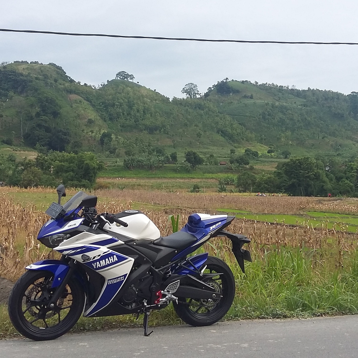 2014 YAMAHA YZF R25 | Picture 2796047 motorcycle photo