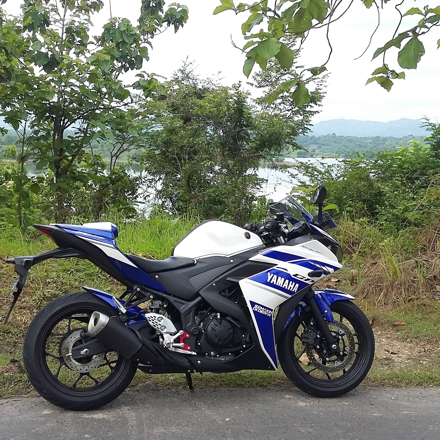 2014 YAMAHA YZF R25 | Picture 2796051 motorcycle photo
