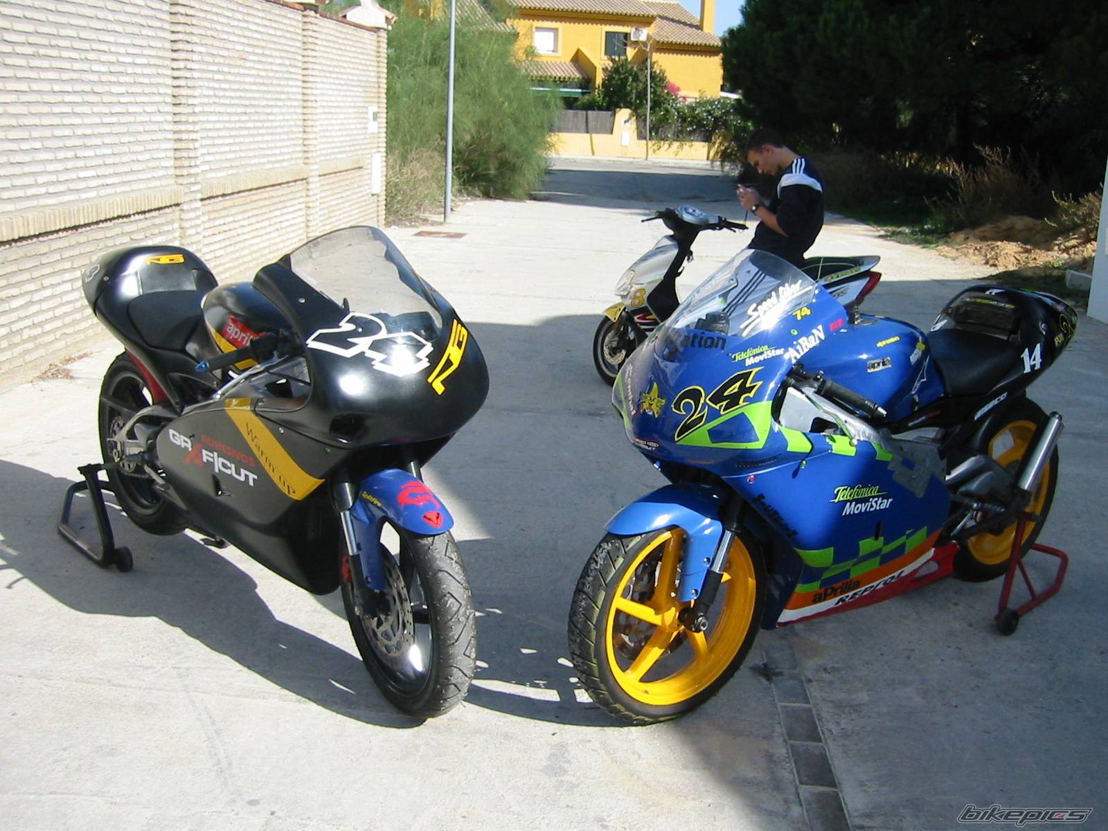 2005 APRILIA RS 125 | Picture 279678 motorcycle photo