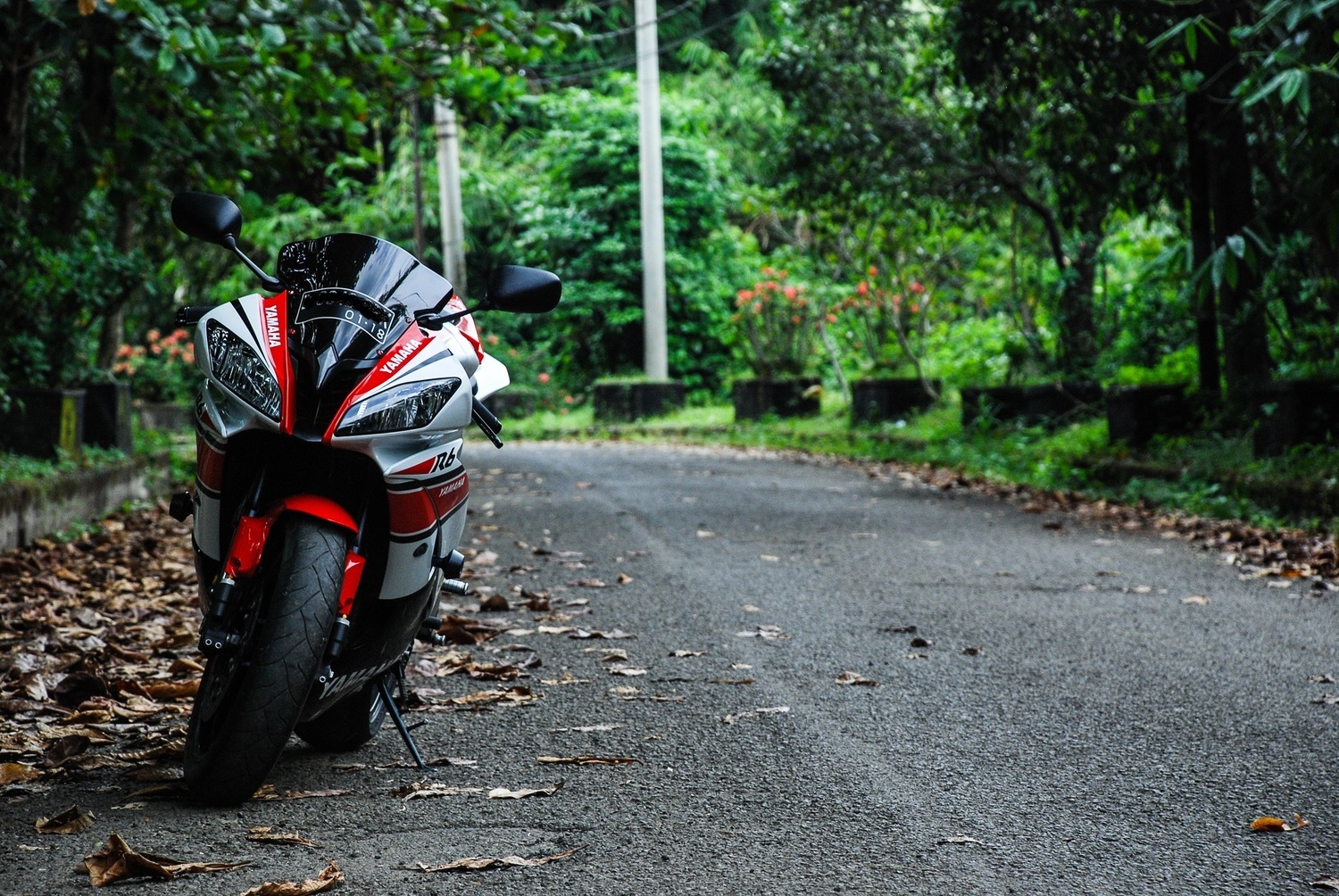 2012 YAMAHA YZF R6 | Picture 2796901 motorcycle photo