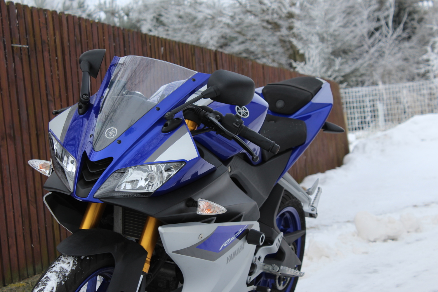 2015 YAMAHA YZF R125 | Picture 2797864 motorcycle photo