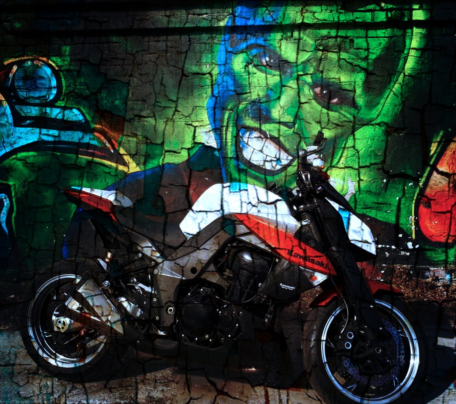 2010 KAWASAKI Z1000 | Picture 2798460 motorcycle photo