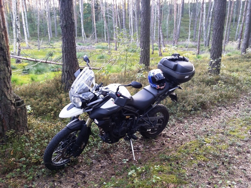2015 TRIUMPH TIGER 800 XC | Picture 2798643 motorcycle photo