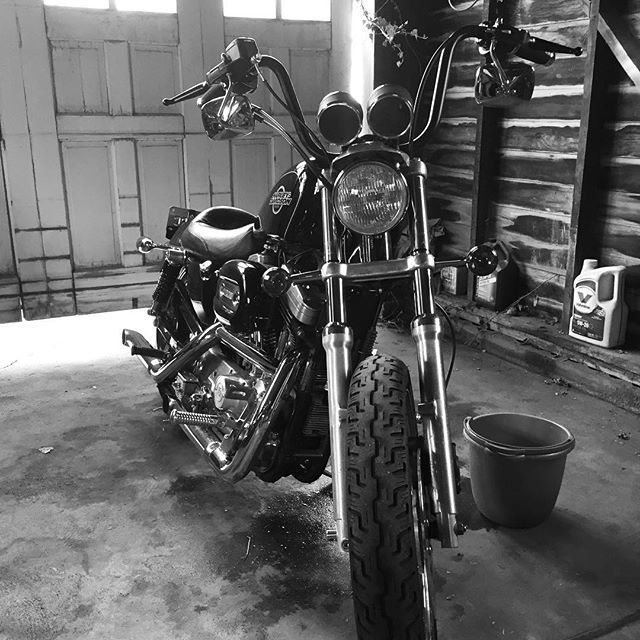 1997 HARLEY DAVIDSON XLH 1200 | Picture 2799151 motorcycle photo