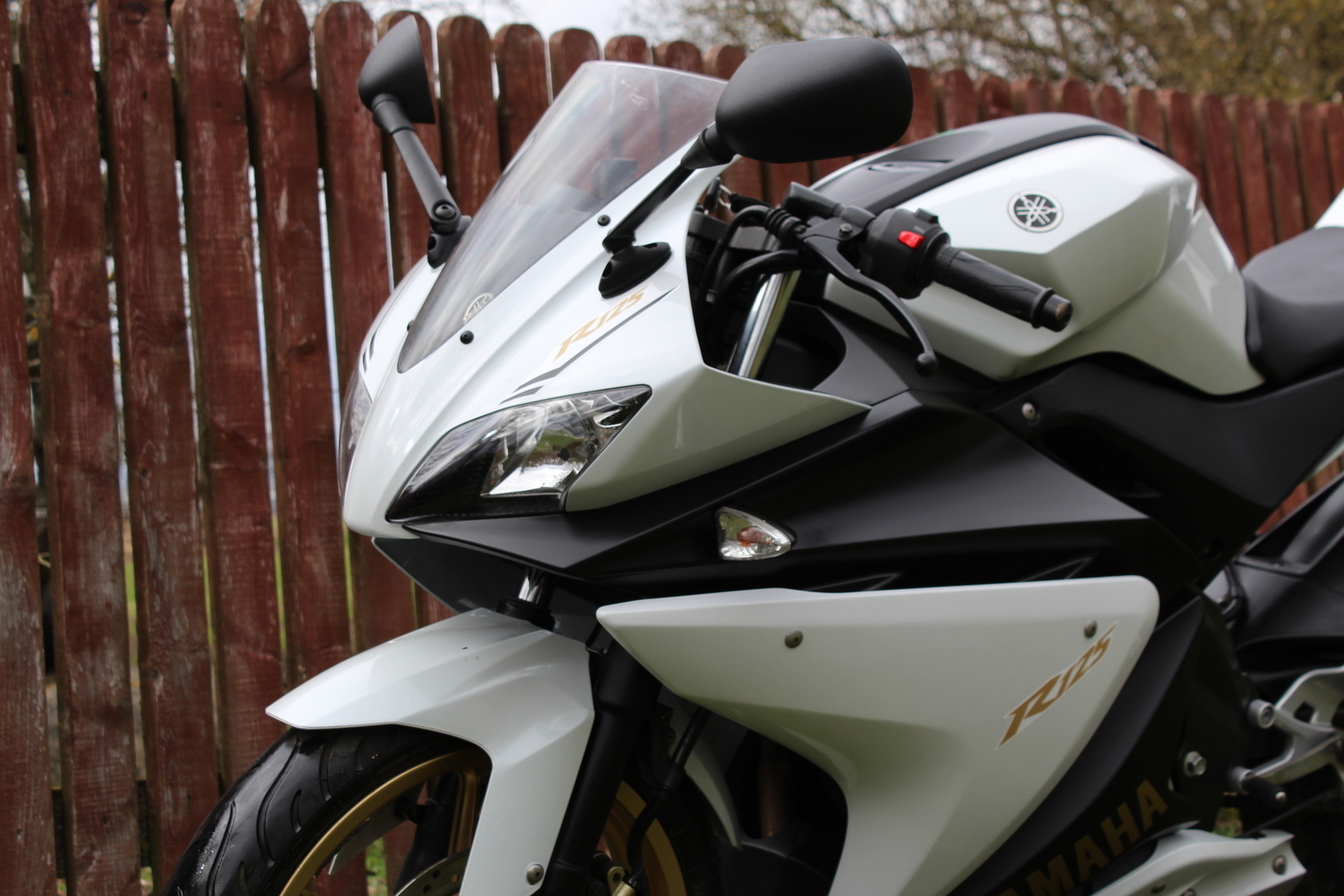 2012 YAMAHA YZF R125 | Picture 2800170 motorcycle photo
