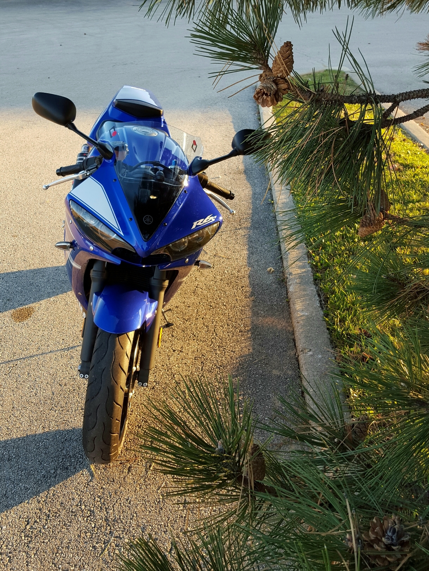 2009 YAMAHA YZF R6 | Picture 2800814 motorcycle photo