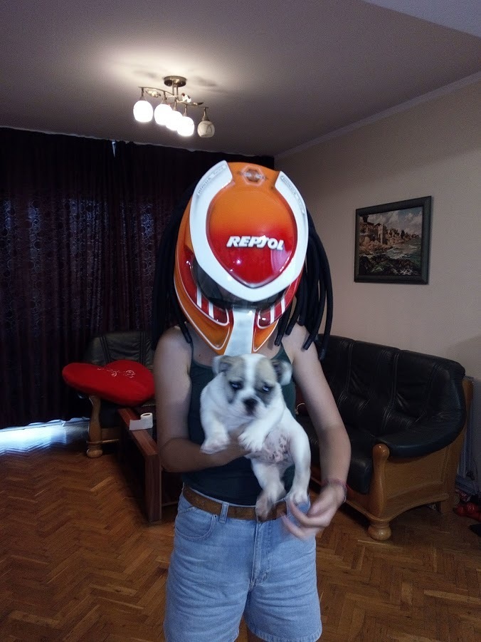    | Picture 2801158 motorcycle photo