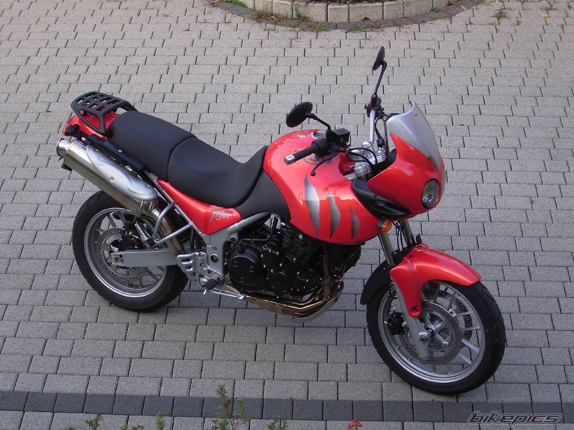 2005 TRIUMPH TIGER | Picture 280131 motorcycle photo