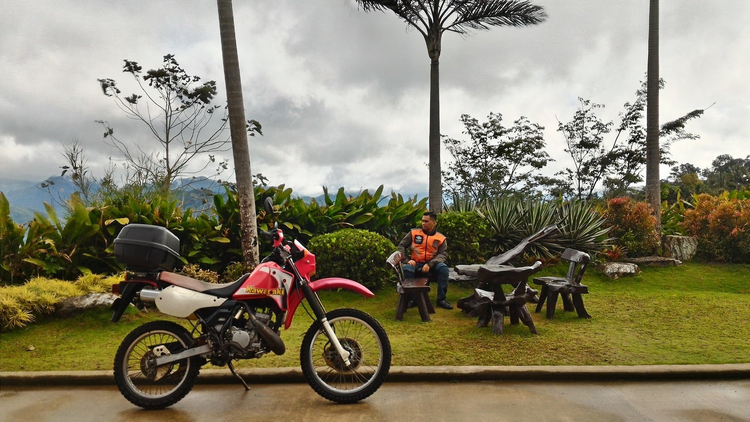 2016 KAWASAKI KMX 125 | Picture 2802012 motorcycle photo